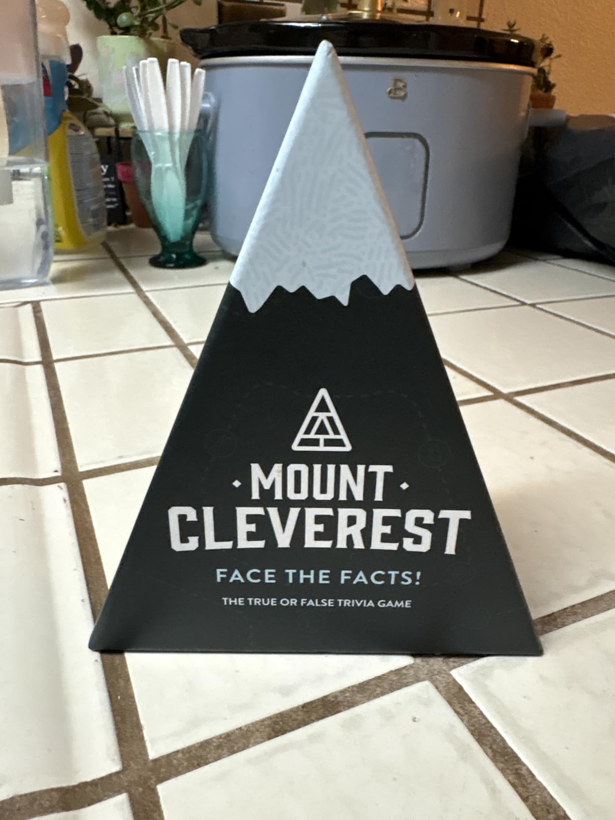 Mount Cleverest® Original Edition | True or False Trivia Game | Fun Adults & Kids Family Card Game | Stocking Stuffer | Travel Games | Party Games for Birthday | Gift for Boys and Girls customer photo 2