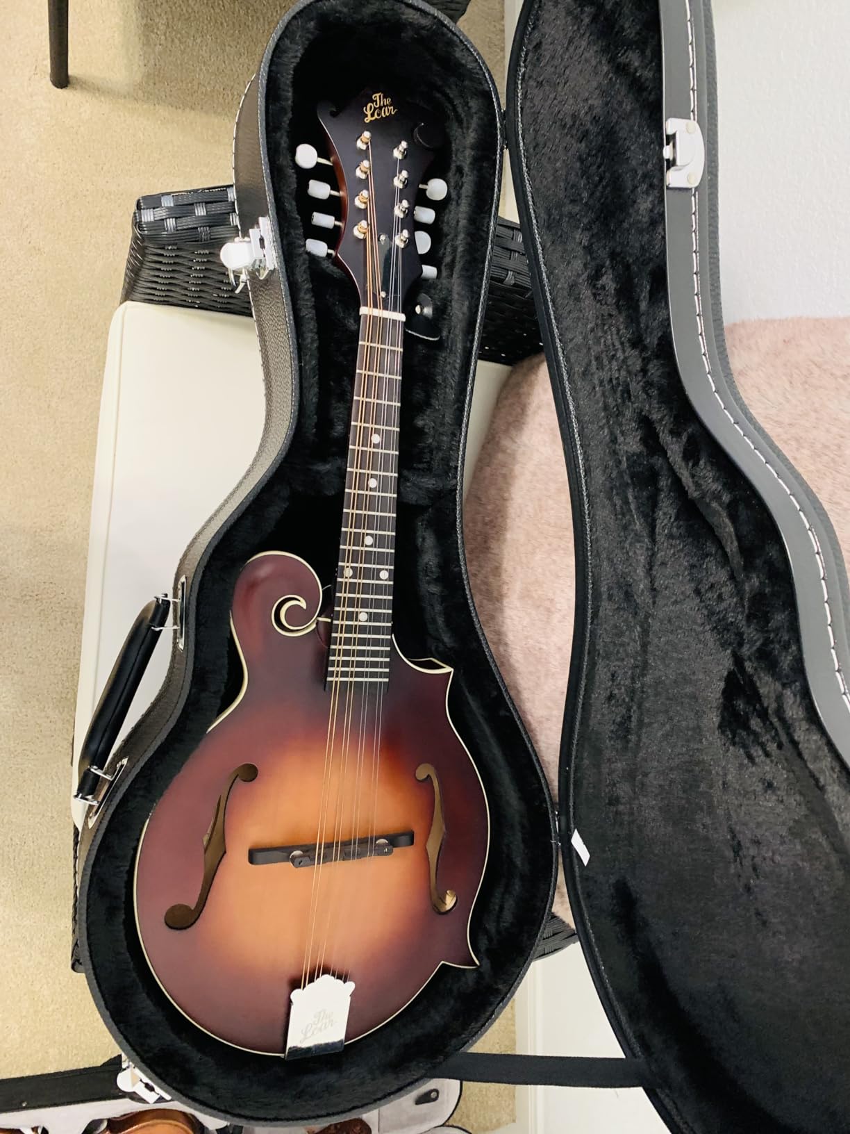 Ktaxon A-Style Mandolin Hard Case Deluxe Leather | Hard-Shell Carrying Case, Wooden Protective Case, Plush Interior customer photo 1