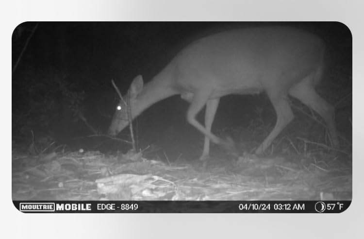 Moultrie Edge Cellular Trail Camera - 2-Pack, 33MP customer photo 1