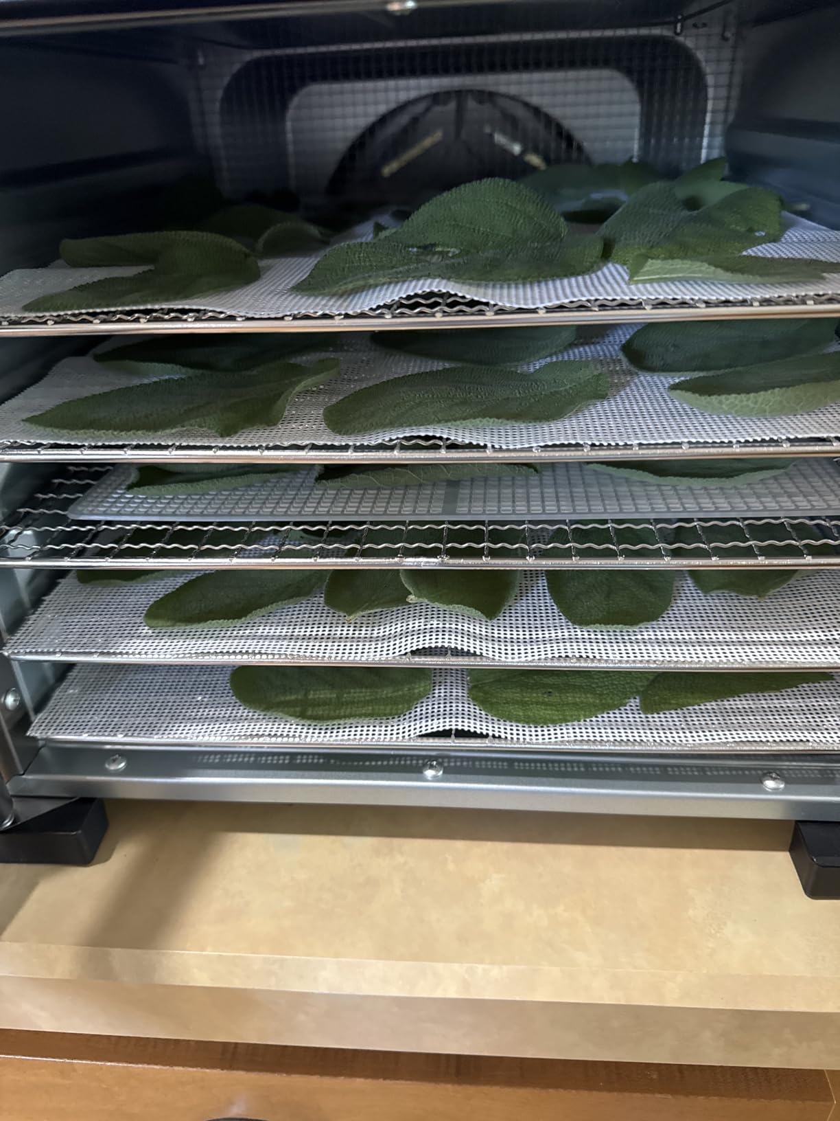 GUCUJI Silicone Dehydrator Sheets for COSORI CP267-FD, 12x13 Inch Non-Stick BPA Free, Pack of 6 (Premium Reusable Food Dehydrator Mesh Mats) customer photo 1