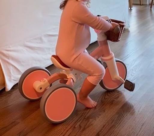 Toddler Balance Bike for 1 2 Year Old, 4 in 1 Tricycle for Toddlers 1-3 customer photo 1
