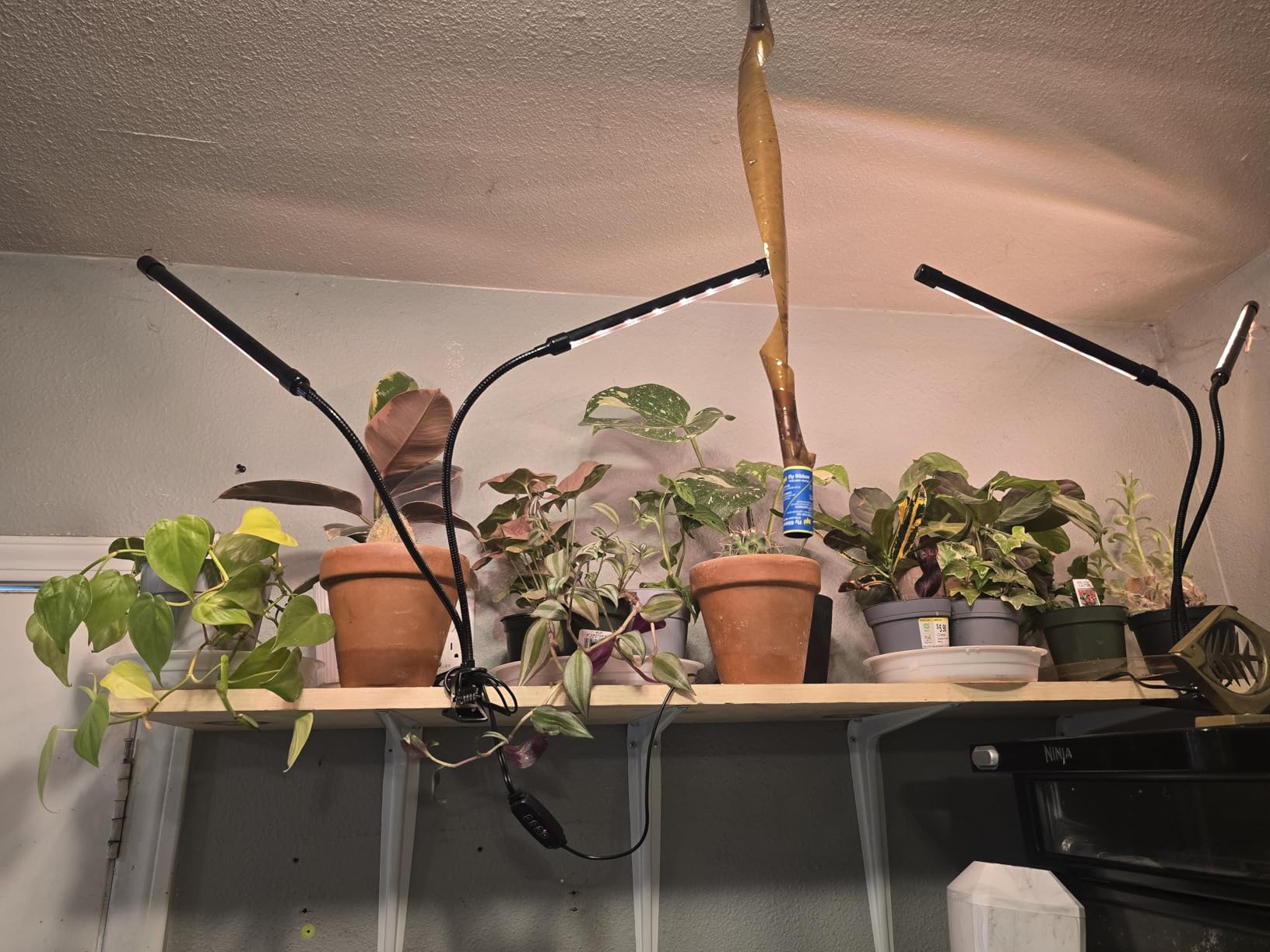 Grow Lights for Indoor Plants, Full Spectrum Tri-Head Clip Plant Lights customer photo 1