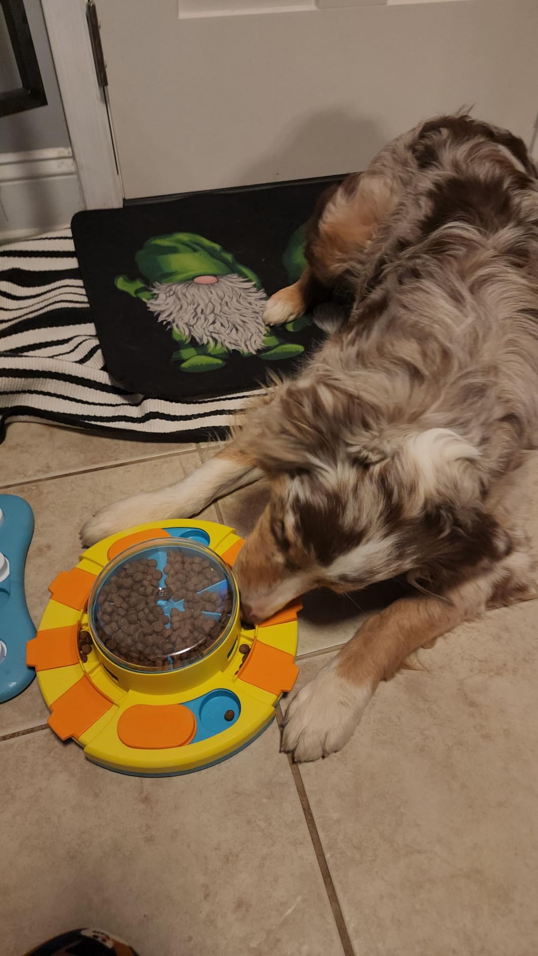 Potaroma Dog Puzzle Toy 2 Levels, Slow Feeder, Pup Food Treat Feeding Dispenser for IQ Training and Entertainment for All Breeds 4.2 Inch Height customer photo 1