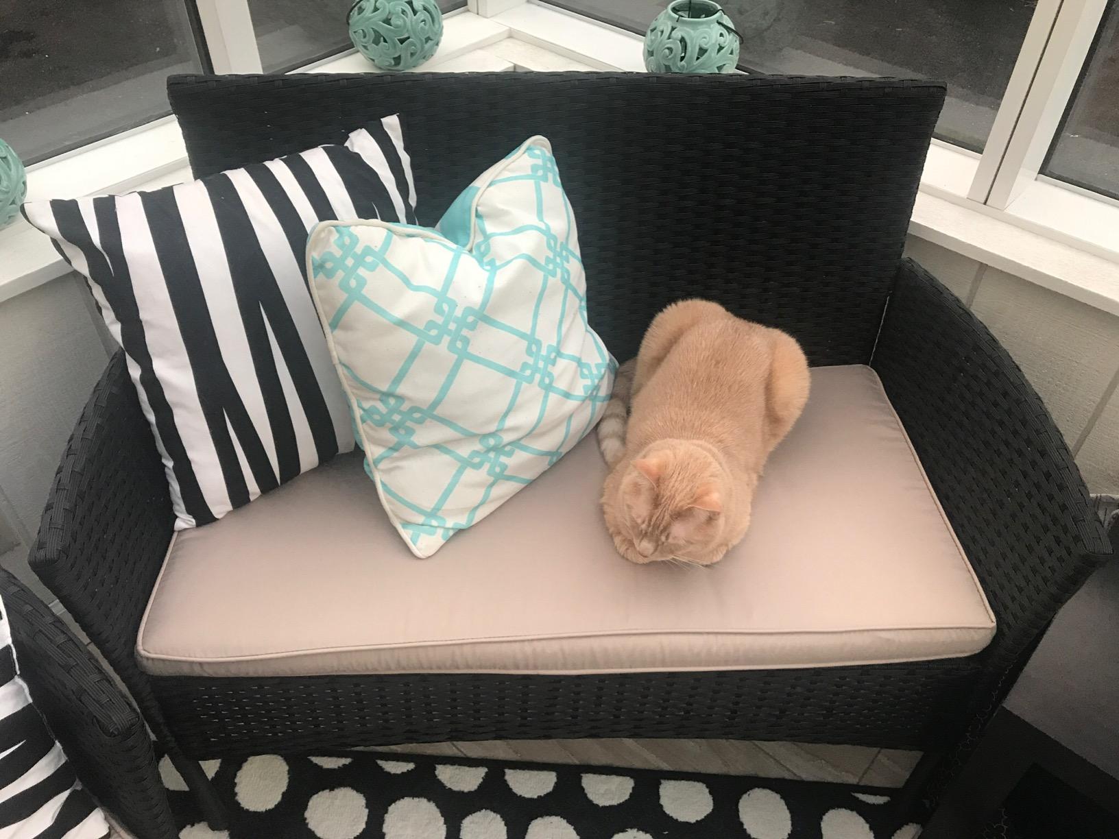 3PCS Patio Bar Set Outdoor Furniture Set Wicker Bistro Set with Two Stools for Patio Backyard Balcony,Blue Cushion customer photo 2