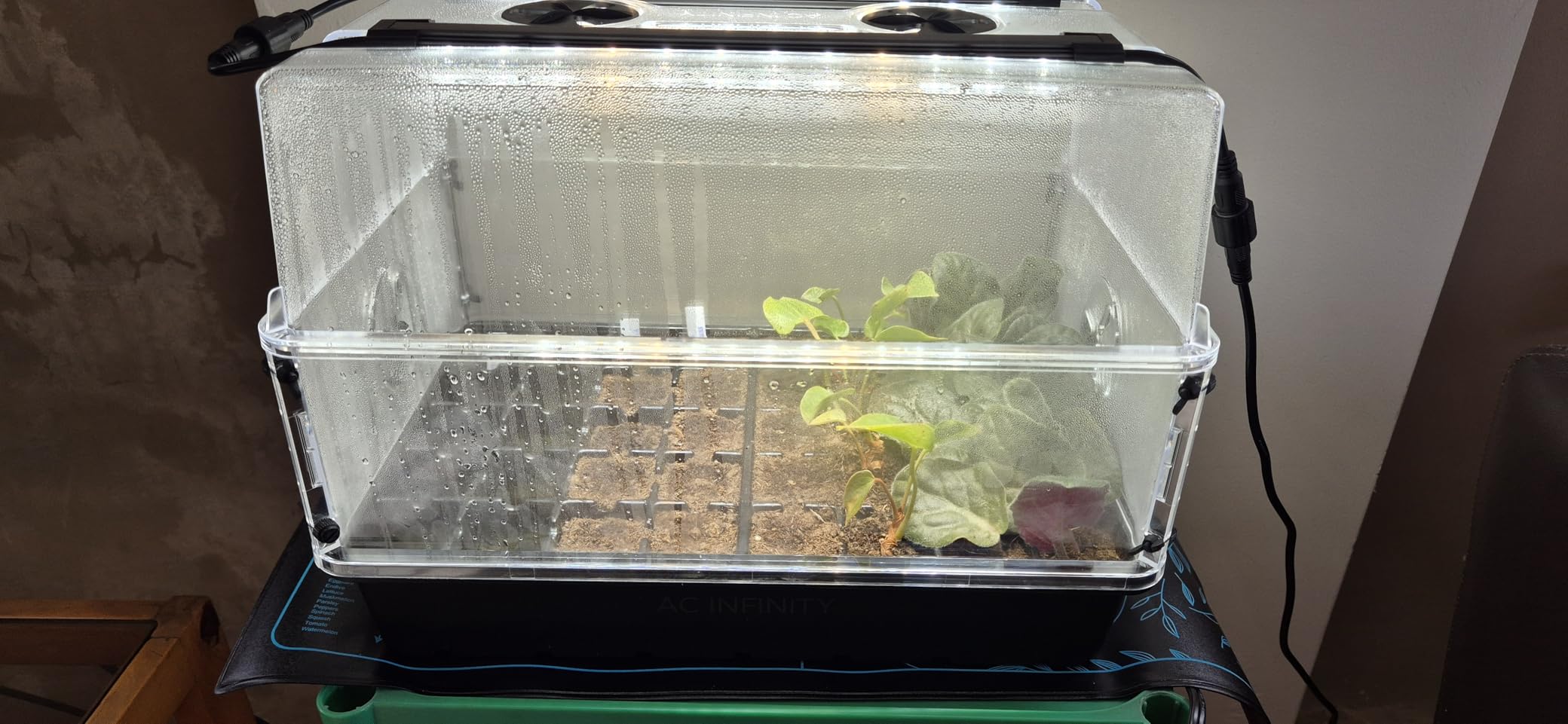 AC Infinity Humidity Dome Kit 5x8 w/ LED Grow Lights & Seedling Heat Mat customer photo 2