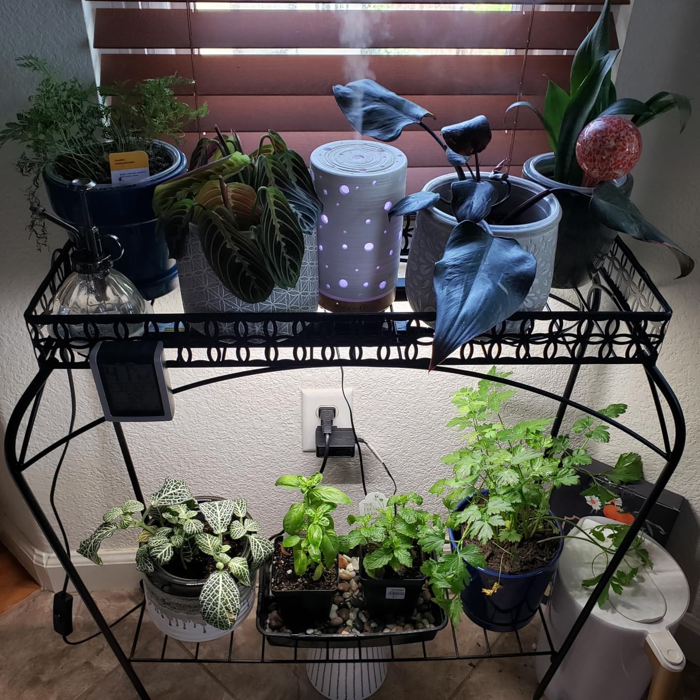 Barrina T5 Grow Lights for Indoor Plants, 5000K Full Spectrum, 1FT, 4 Packs customer photo 2