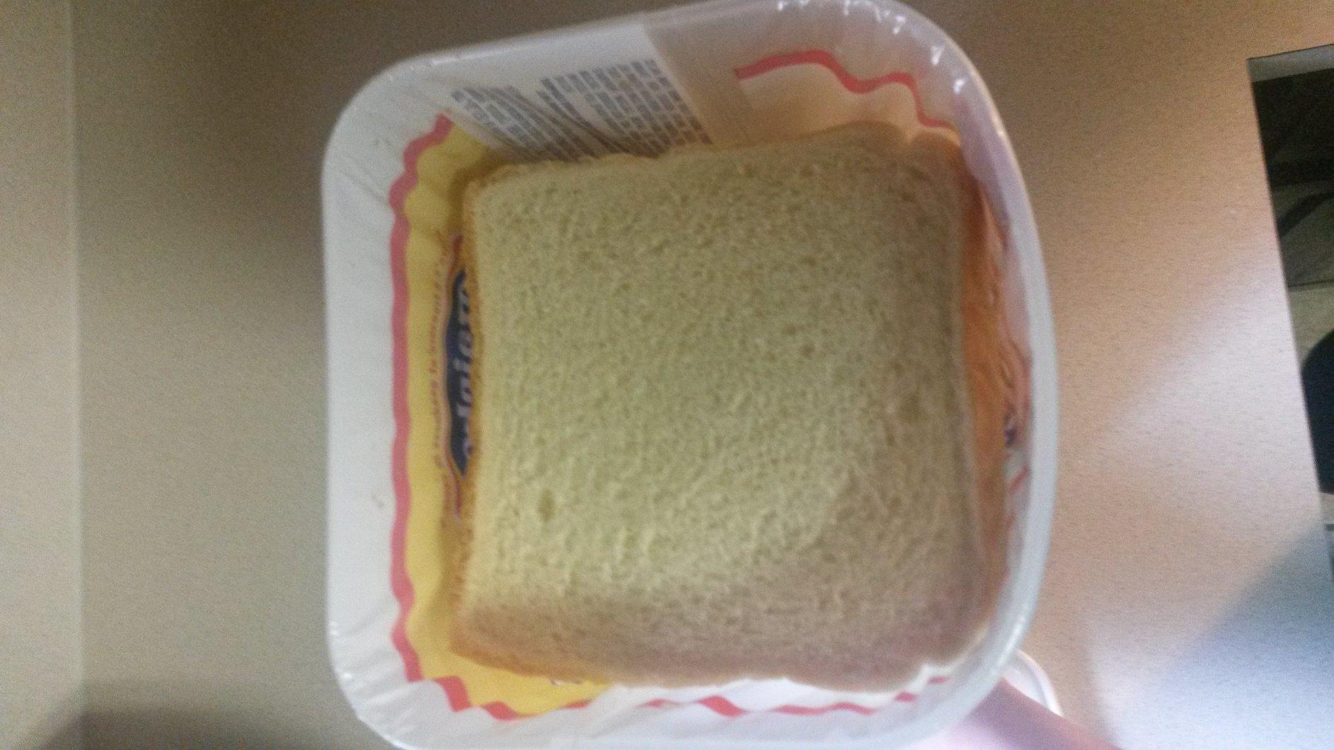 Buddeez Bread Buddy Bread Box, Keeps 1 Sandwich Size Loaf Fresh customer photo 1