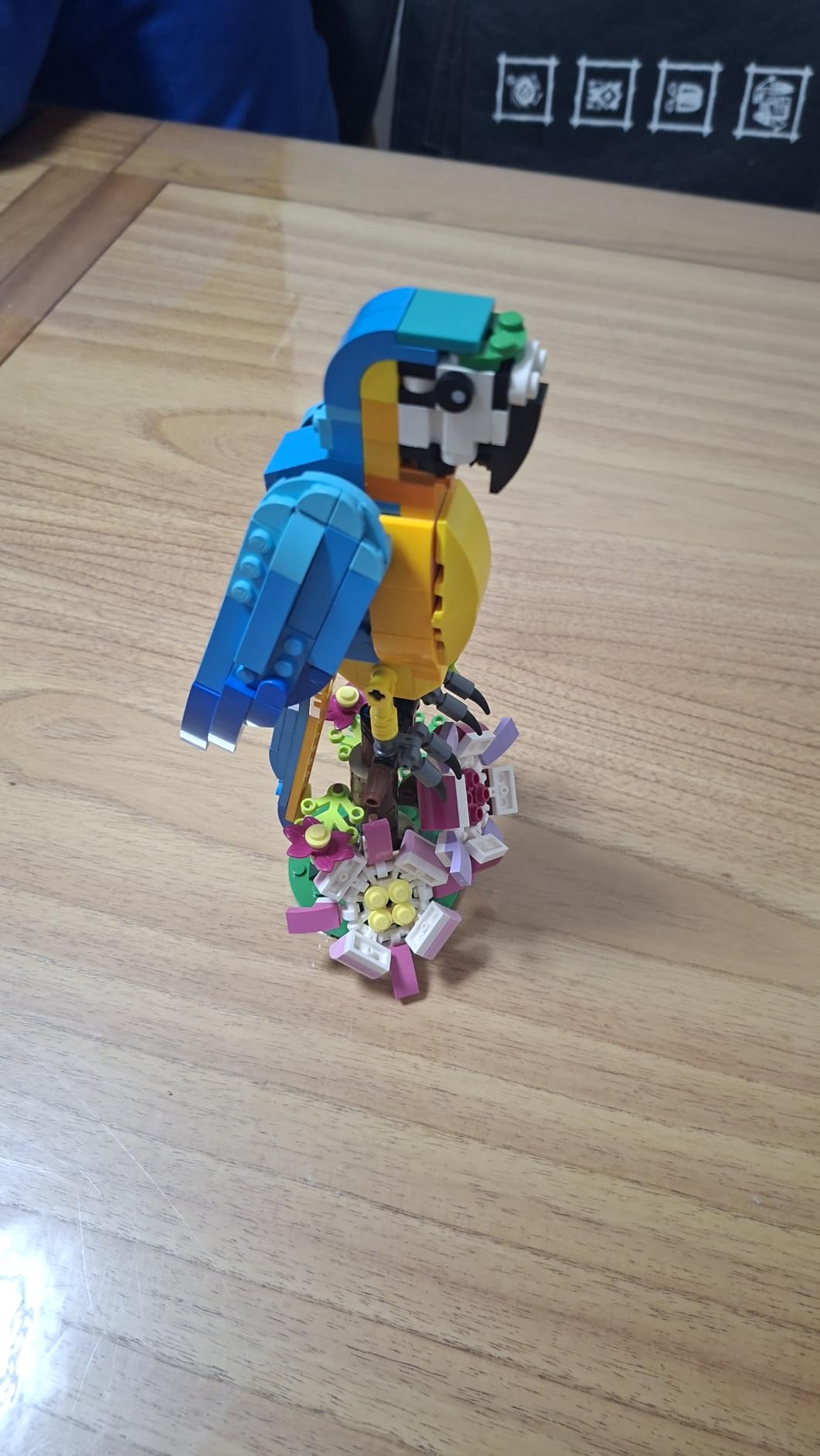 LEGO Creator 3 in 1 Exotic Parrot Building Toy Set, Transforms to 3 Different Animal Figures - from Colorful Parrot, to Swimming Fish, to Cute Frog, Creative Toys for Kids Ages 7 and Up, 31136 customer photo 2