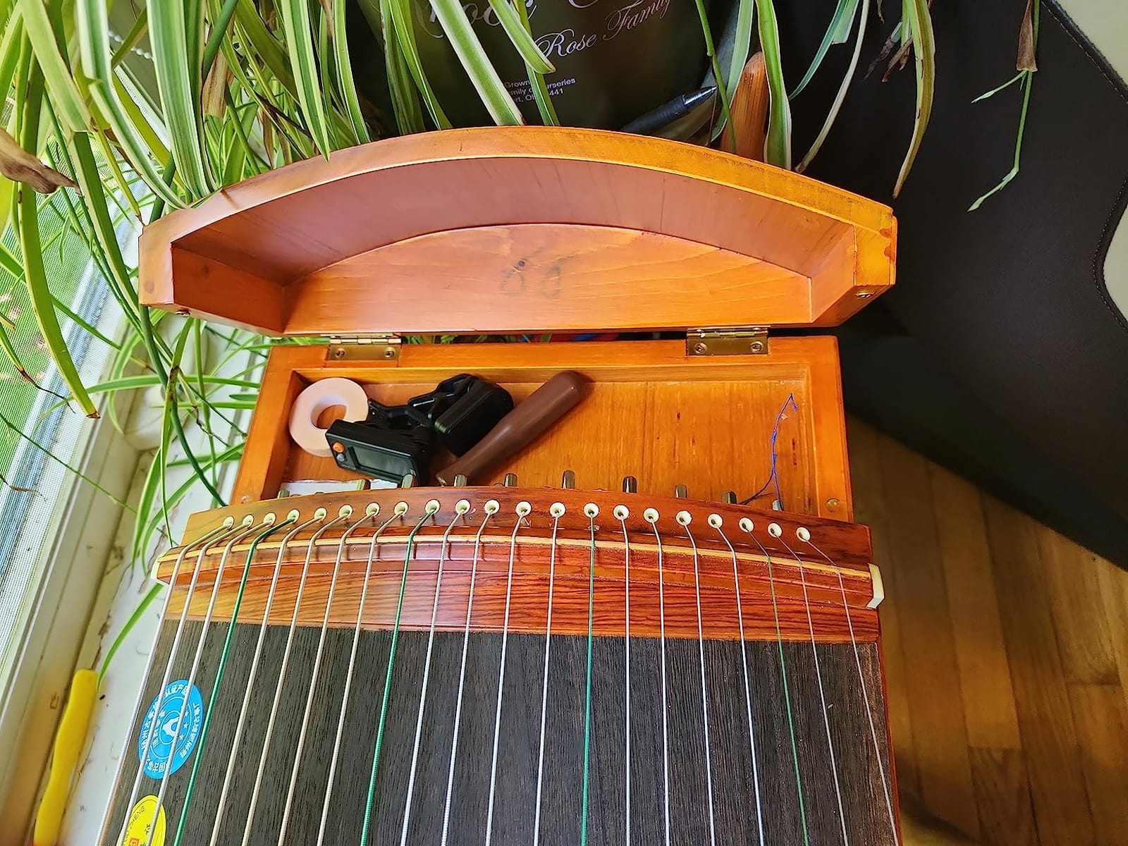 LANDTOM Professional Paulownia Guzheng（163cm）for Adults/beginner/Intermediate (Drizzling rain) customer photo 1