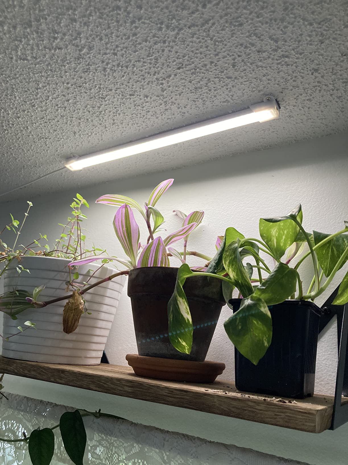 Mosthink Indoor Grow Strip Lights for Under Shelf Cabinet Plants customer photo 2