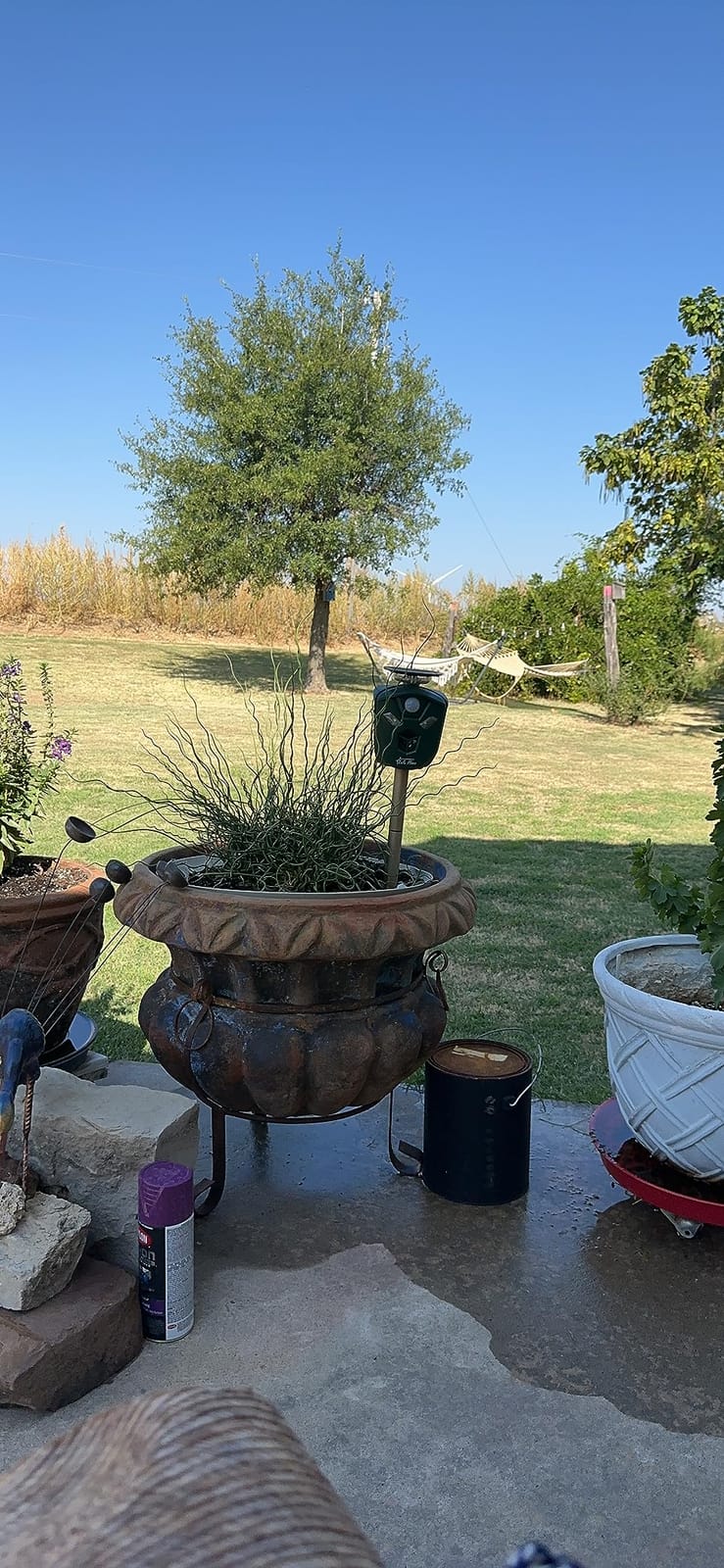Redeo Ultrasonic Animal Repeller Solar Cat Repellent Outdoor Deer Repellent Devices with 360 Degree Motion Activated Flashing Lights Dog Repellent for Yard, Repel Squirrel Raccoon Skunk Fox & More customer photo 1