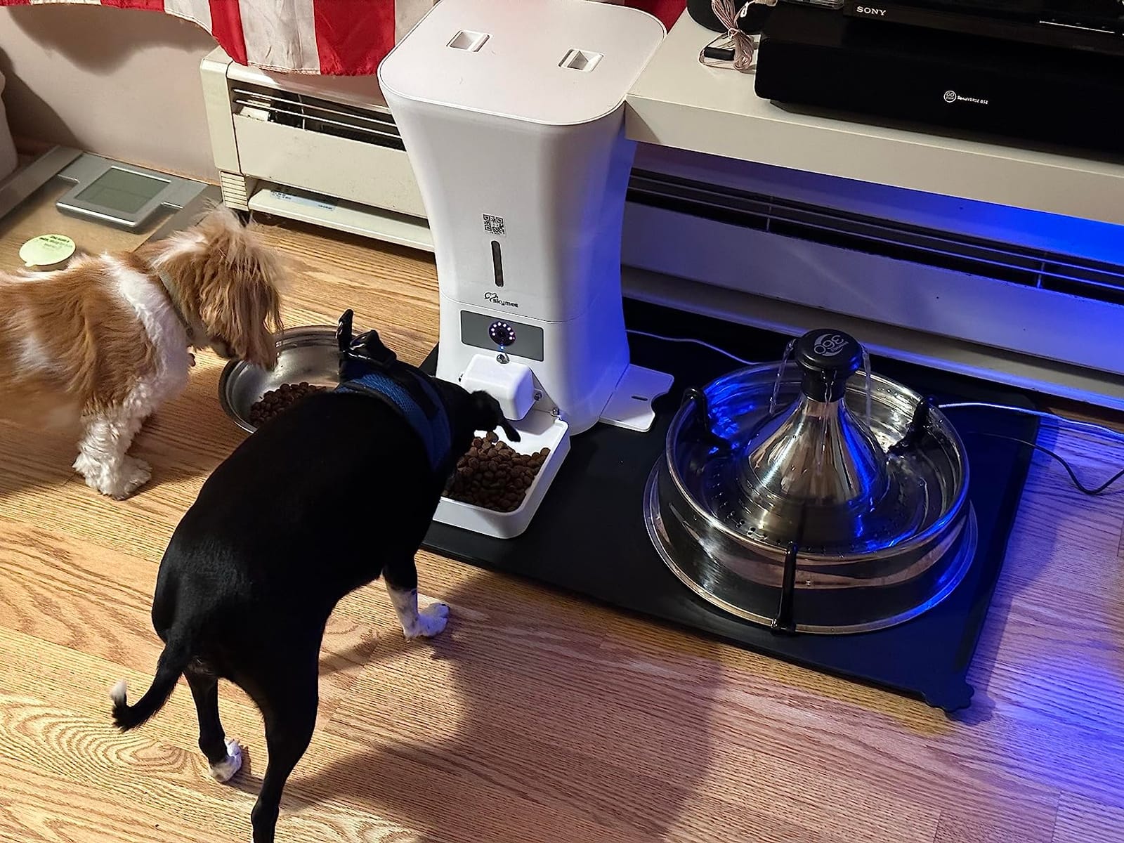 8L/12L 2.4G & 5G WiFi Aautomatic Large Dog Feeder & Automatic cat feeders -1080P Full HD Pet Camera Treat Dispenser with Night Vision and 2-Way Audio customer photo 1