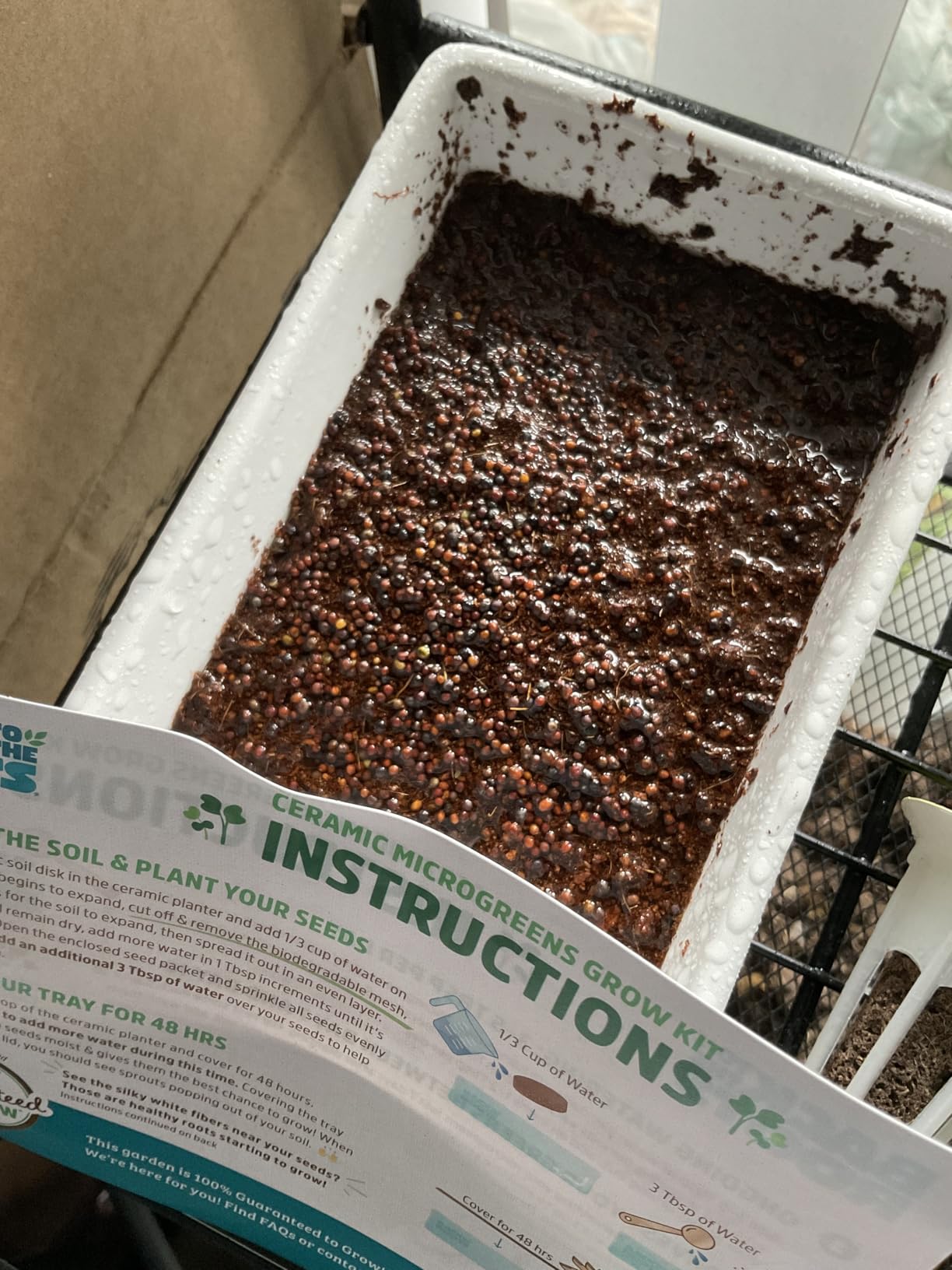 Back to the Roots Organic Microgreens Grow Kit with Ceramic Planter, Expandable Soil, Organic Seeds, and Germination Lid customer photo 1