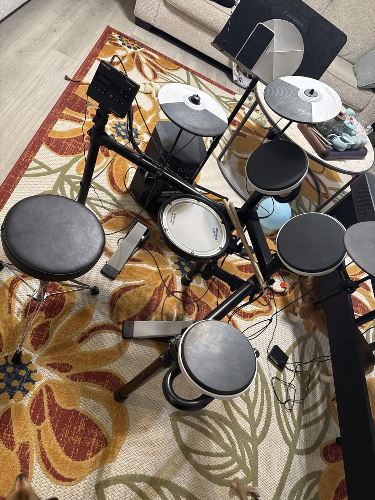 Roland TD-02KV V-Drums Electronic Drum Kit | Kit with Expressive Playability, Noise-Reducing Features, Mesh-Head Snare customer photo 1