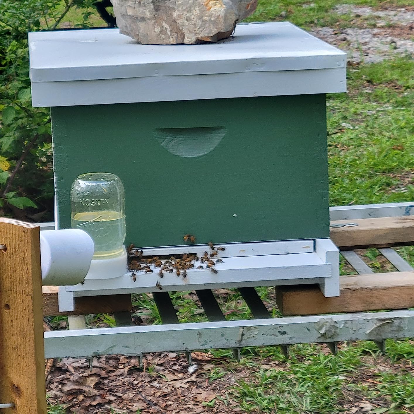 Bee Hive Feeder, White Entrance Feeder with Aluminum Lid, 4-Pack customer photo 2
