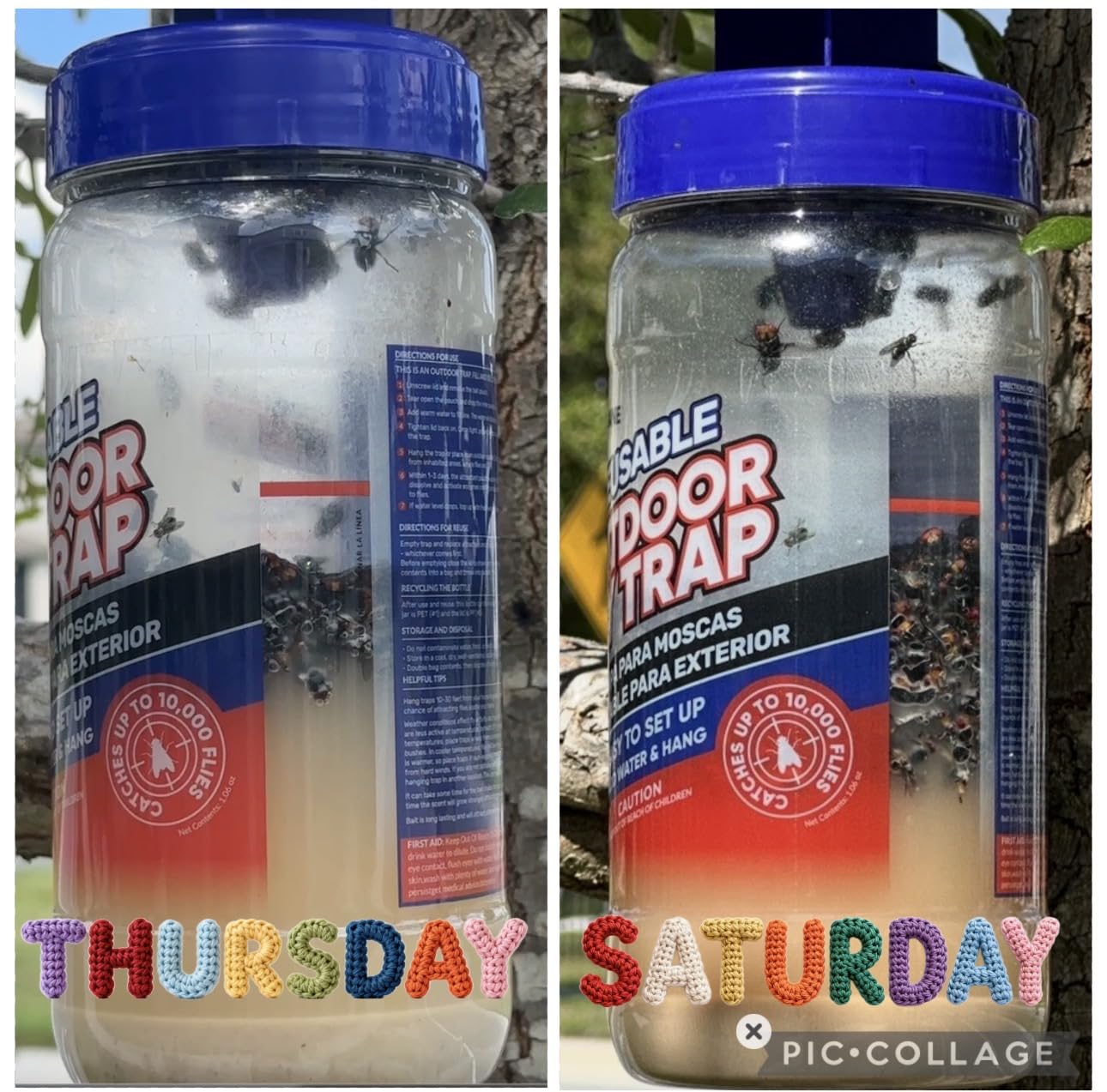 2 Fly Traps Outdoor Fly Trap for Patio with 4 Non-Toxic Dissolvable Bait Refills. Reusable Hanging Bug Catcher Killer for All Filth Flies for Outside Bug Control Yard Ranch. Hanging Chains Included. customer photo 2