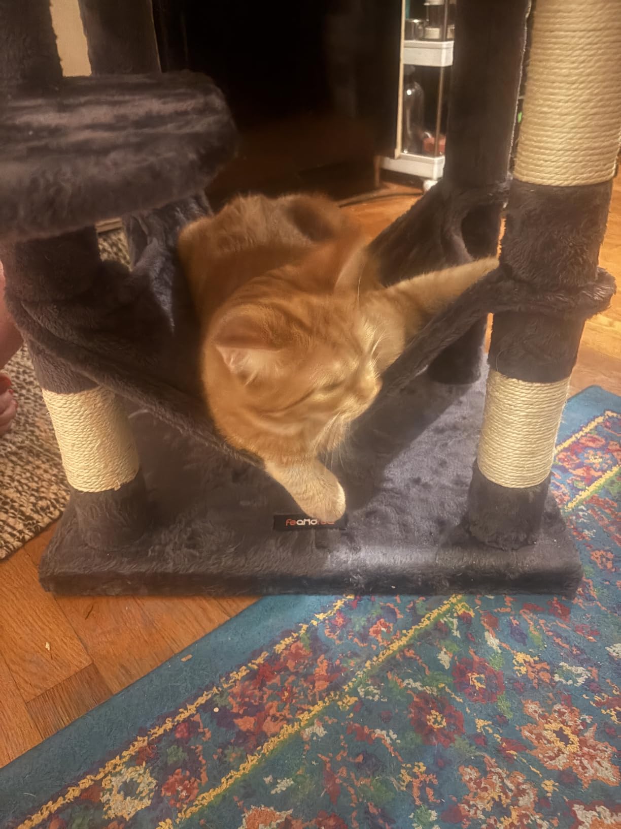 Feandrea Cat Tree, 59.5-Inch Tall Cat Tower, Plush Multi-Level Condo with 5 Scratching Posts, 2 Perches, 2 Caves, Hammock, 2 Pompoms, Light Gray UPCT192W01 customer photo 1