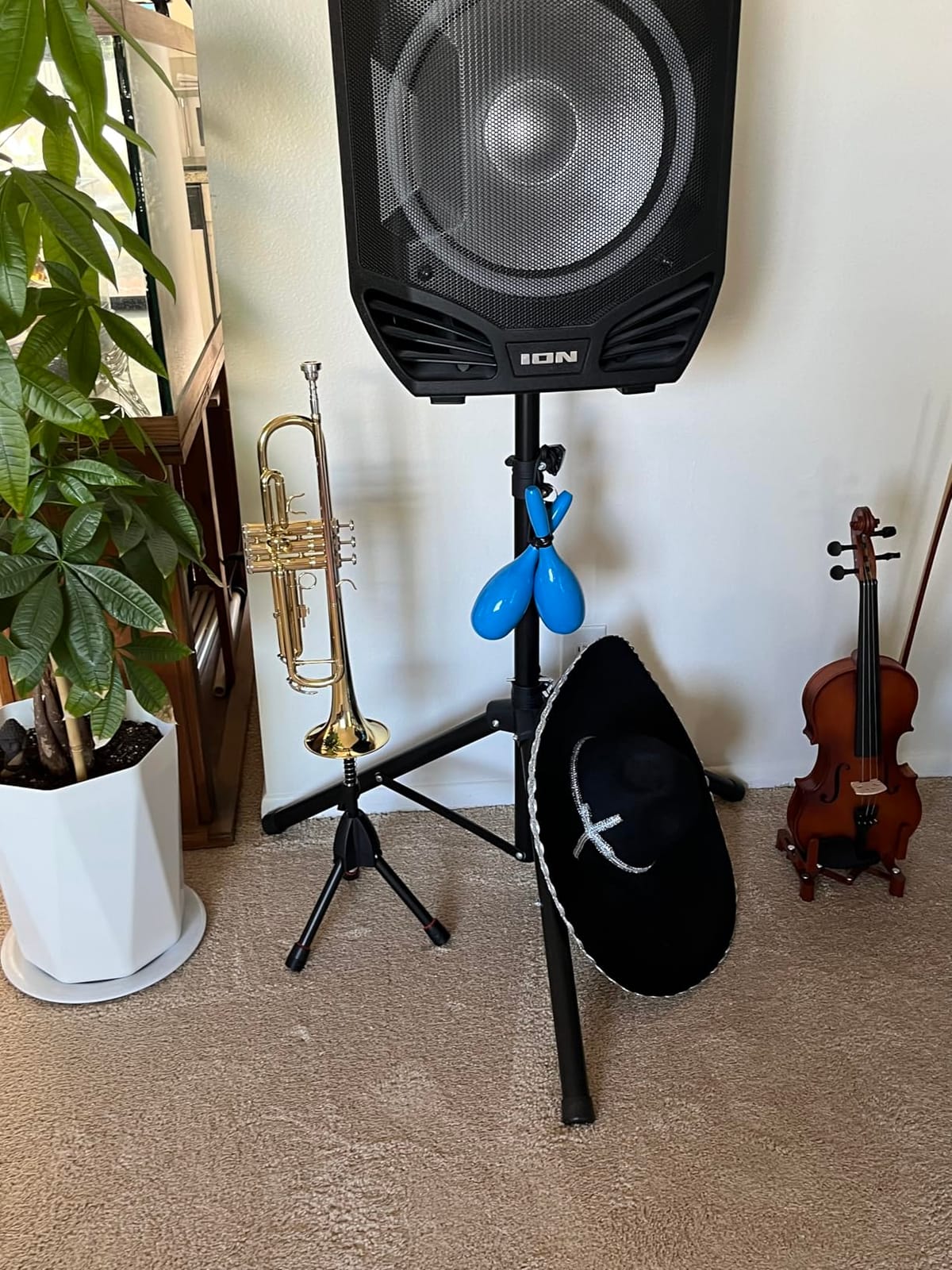 Glory Bb Trumpet - Trumpets for Beginner or Advanced Student with Case, pair of gloves-Black customer photo 2