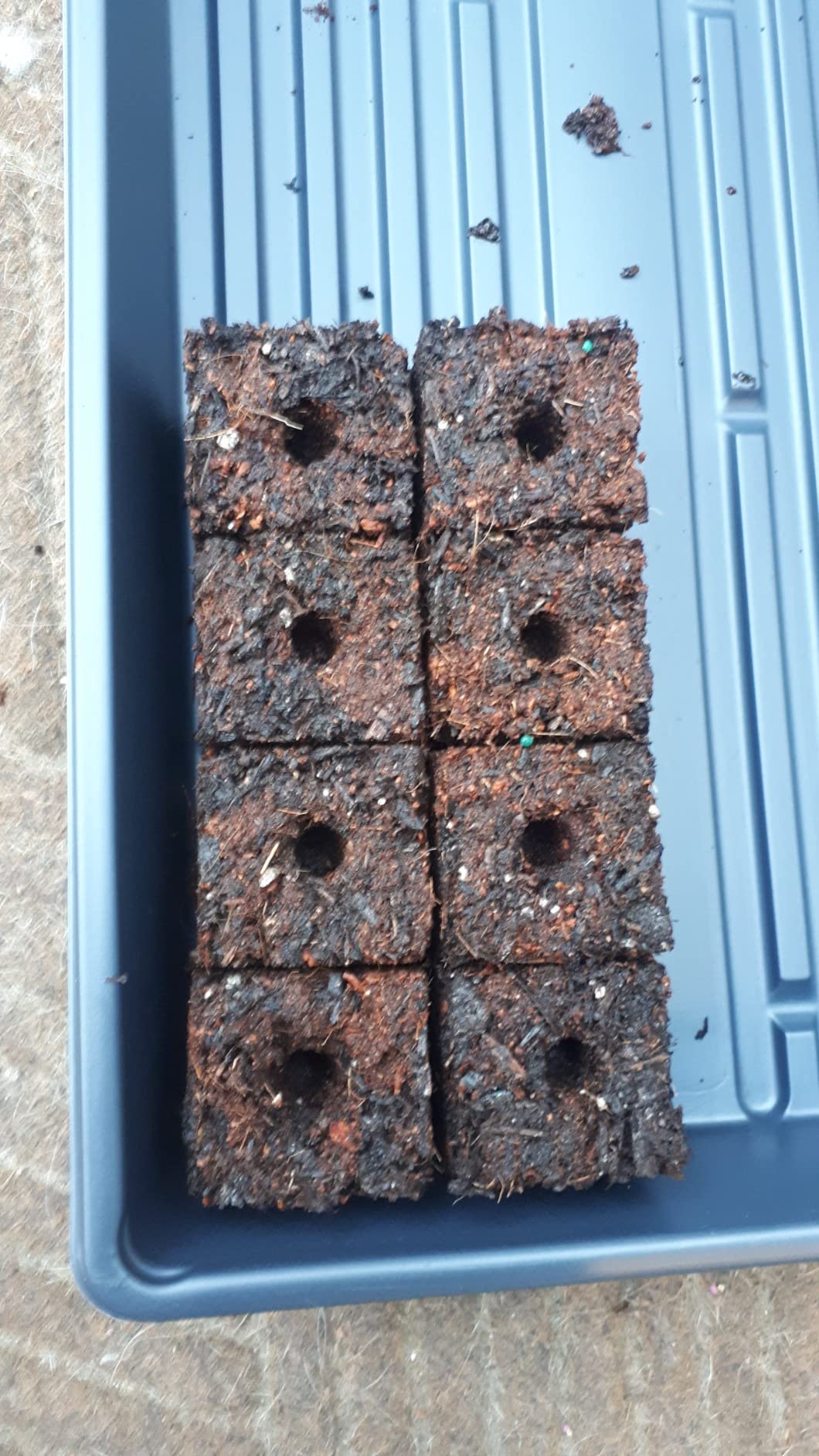 8 Cell Soil Blocker for Seeds Starting, 2 inch Manual Soil Block Maker, Seeds Blocker, Durable Seeds Block Maker, Soil Blocking Tool, Soil Blocker Kit customer photo 2