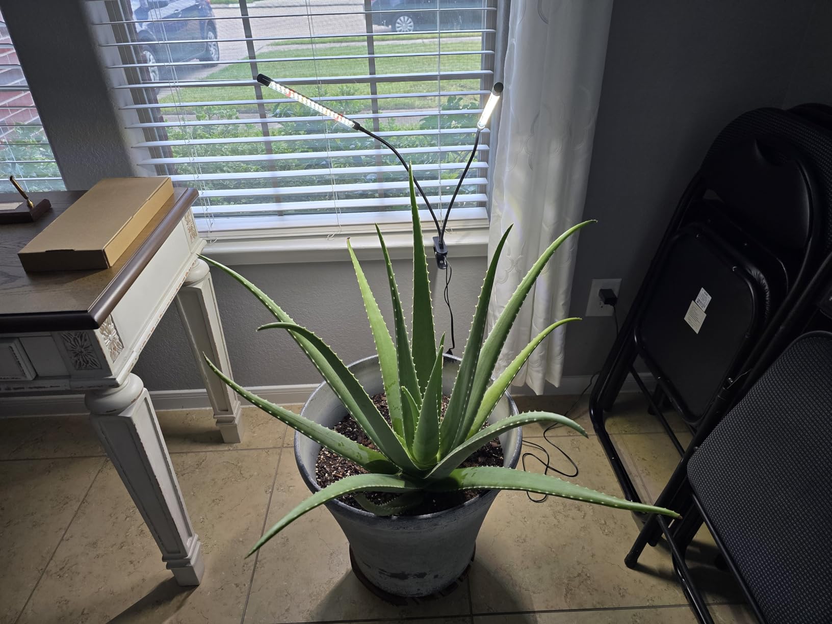 Wolezek Clip on Grow Lights for Indoor Plants, Full Spectrum 6000K customer photo 1