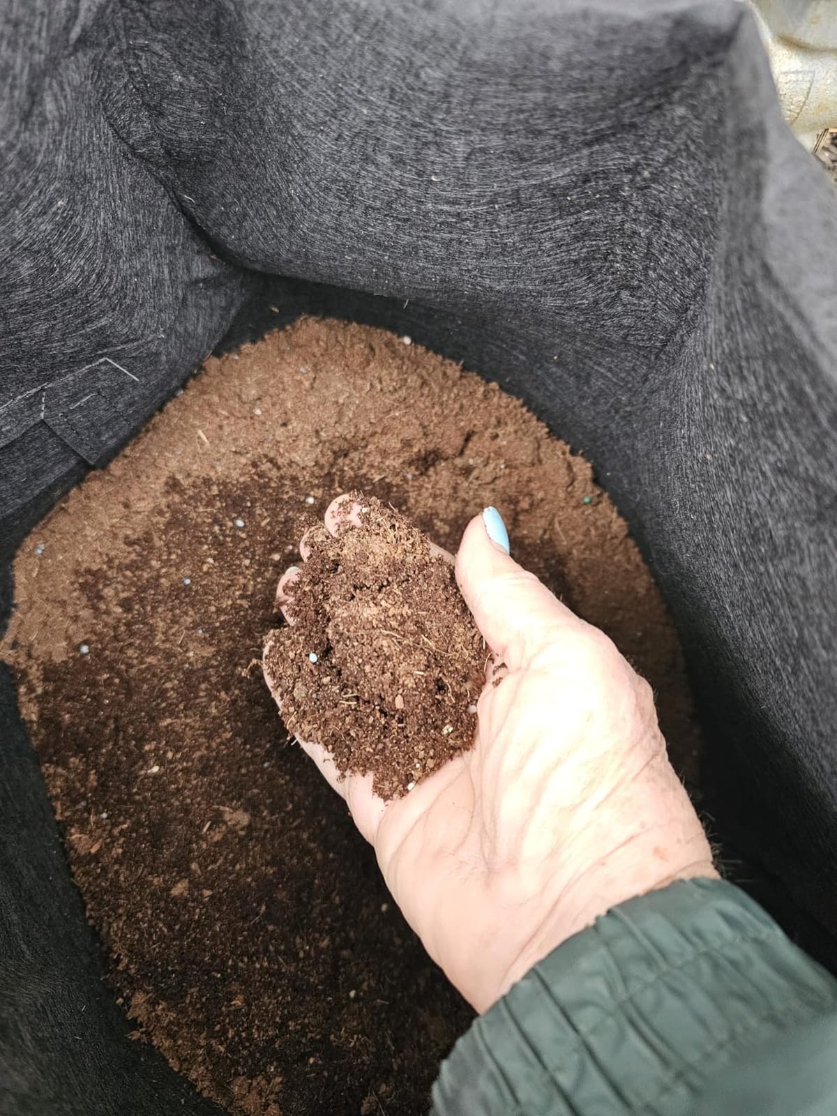 MODELLOR Coco Coir Bricks, 4-Pack (5 lb) – Premium Super Washed, Yields 9 Gallons (36 Quarts), Organic, pH-Balanced Growing Medium for Seed Starting & Gardening customer photo 2