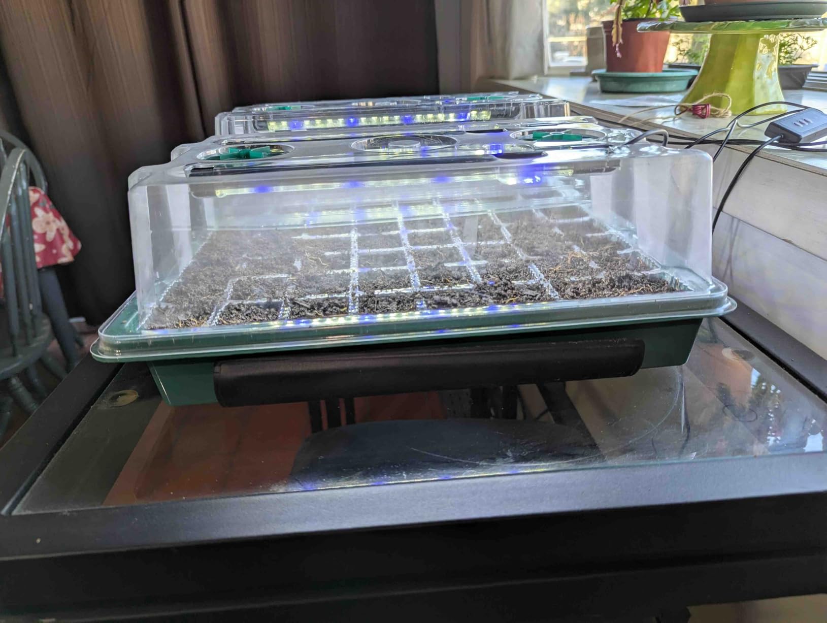 BlumWay Seed Starter Tray with Grow Light, Humidity Dome, 2 Pack 80 Cells customer photo 1