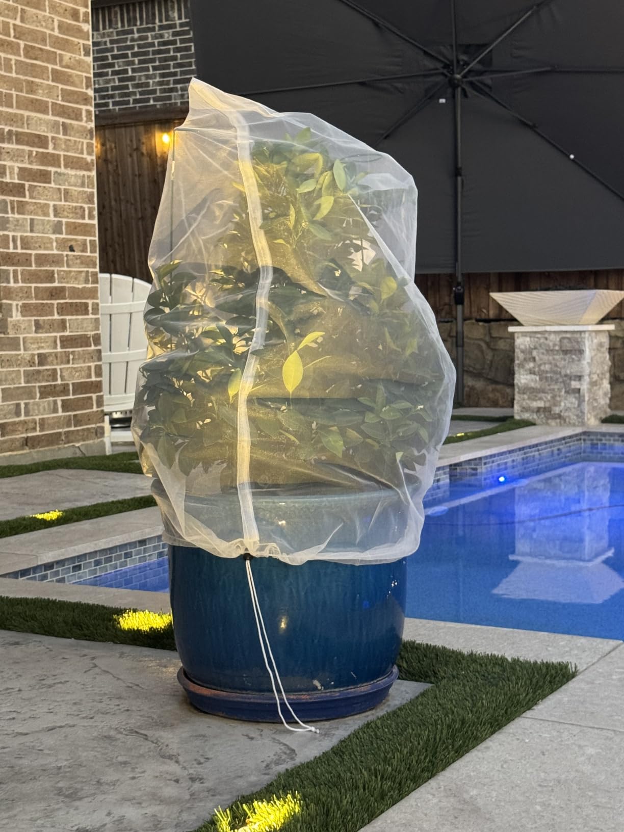 Bird Netting for Garden Protection - 4 Pack Garden Netting Pest Barrier with Drawstring,3.3Ft x 2.7Ft Mosquito Net Tomato Protective Cover Garden Plant Netting for Cicadas Vegetables Blueberry Bushes customer photo 2