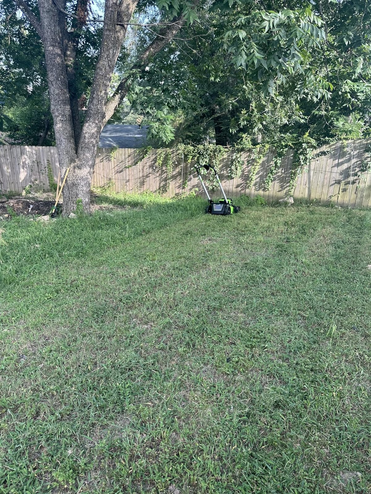 Greenworks 60V 21in Push Lawn Mower, 5.0 Ah Battery and Charger customer photo 1