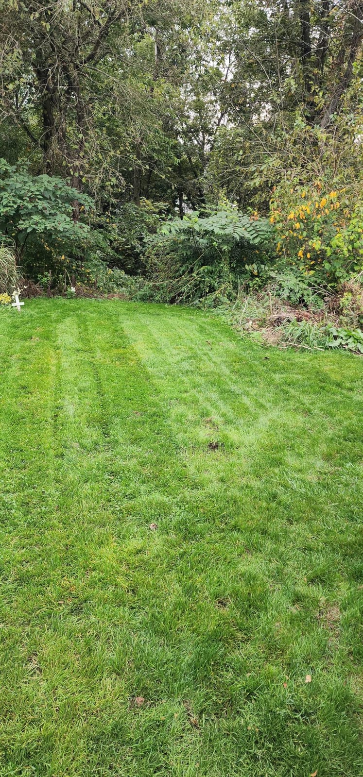 Greenworks 60V 21in Push Lawn Mower, 5.0 Ah Battery and Charger customer photo 2