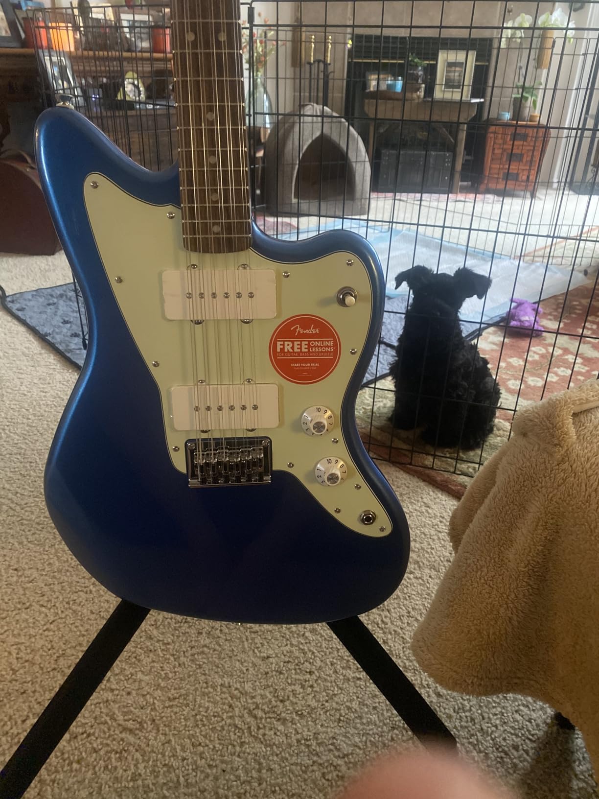 Fender Paranormal Jazzmaster XII, Laurel Fingerboard, Mint Pickguard, Lake Placid Blue customer photo 1