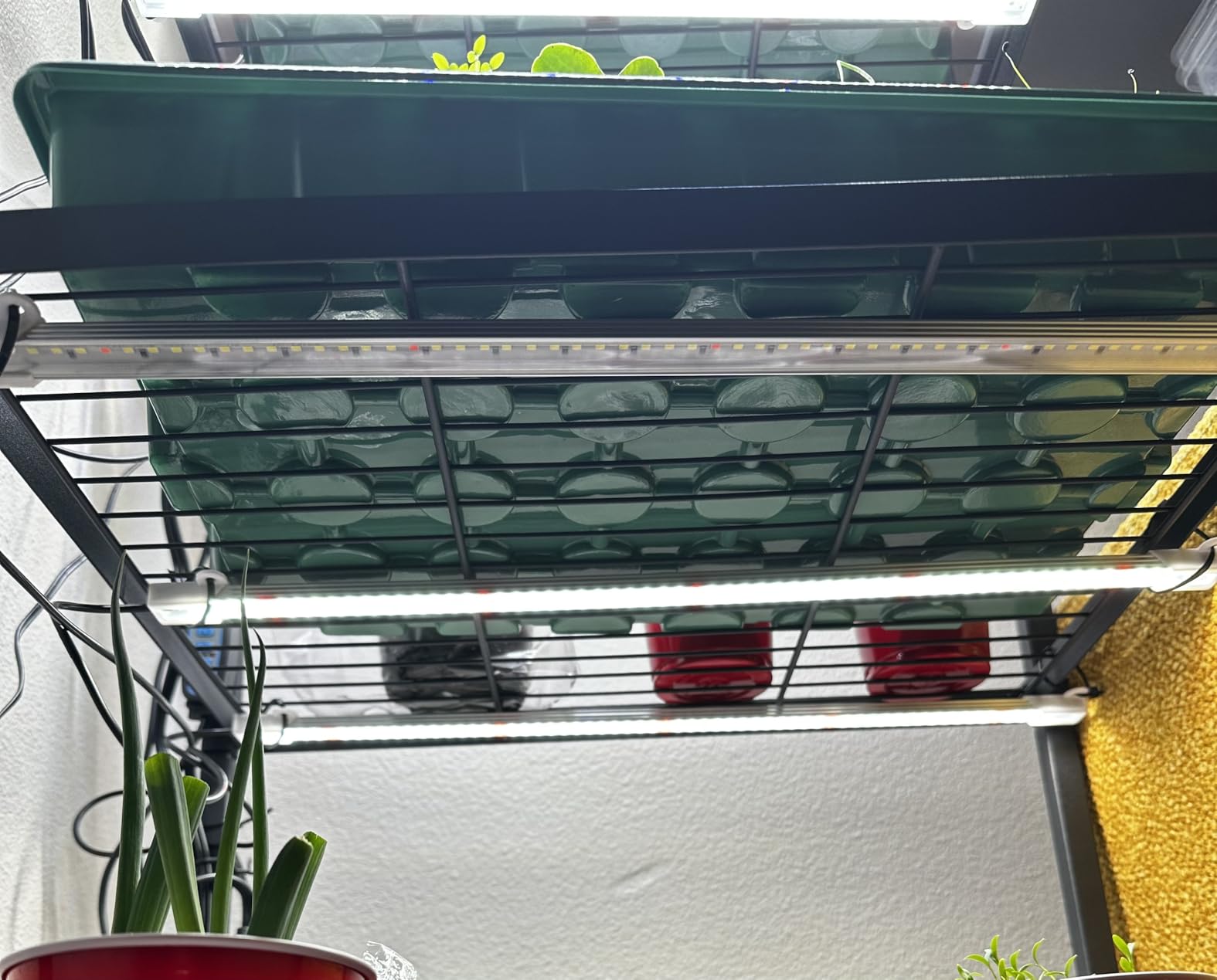 Wiaxulay 16in Plant Grow Light Strip for Indoor Growing, Full Spectrum 15W customer photo 2