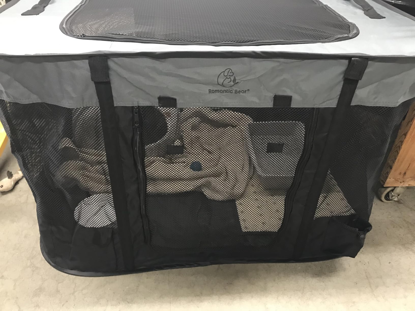 ROMANTIC BEAR Dog Playpen,Foldable Pet Puppy Cat Playpen,L(40