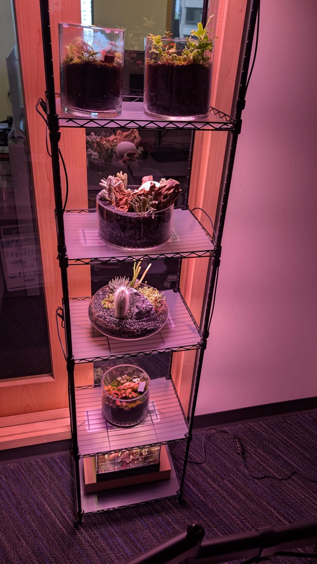 Barrina CX83 Plant Stand with Grow Lights, 6-Tier Shelf, 15.7x11.8x70.9IN customer photo 2