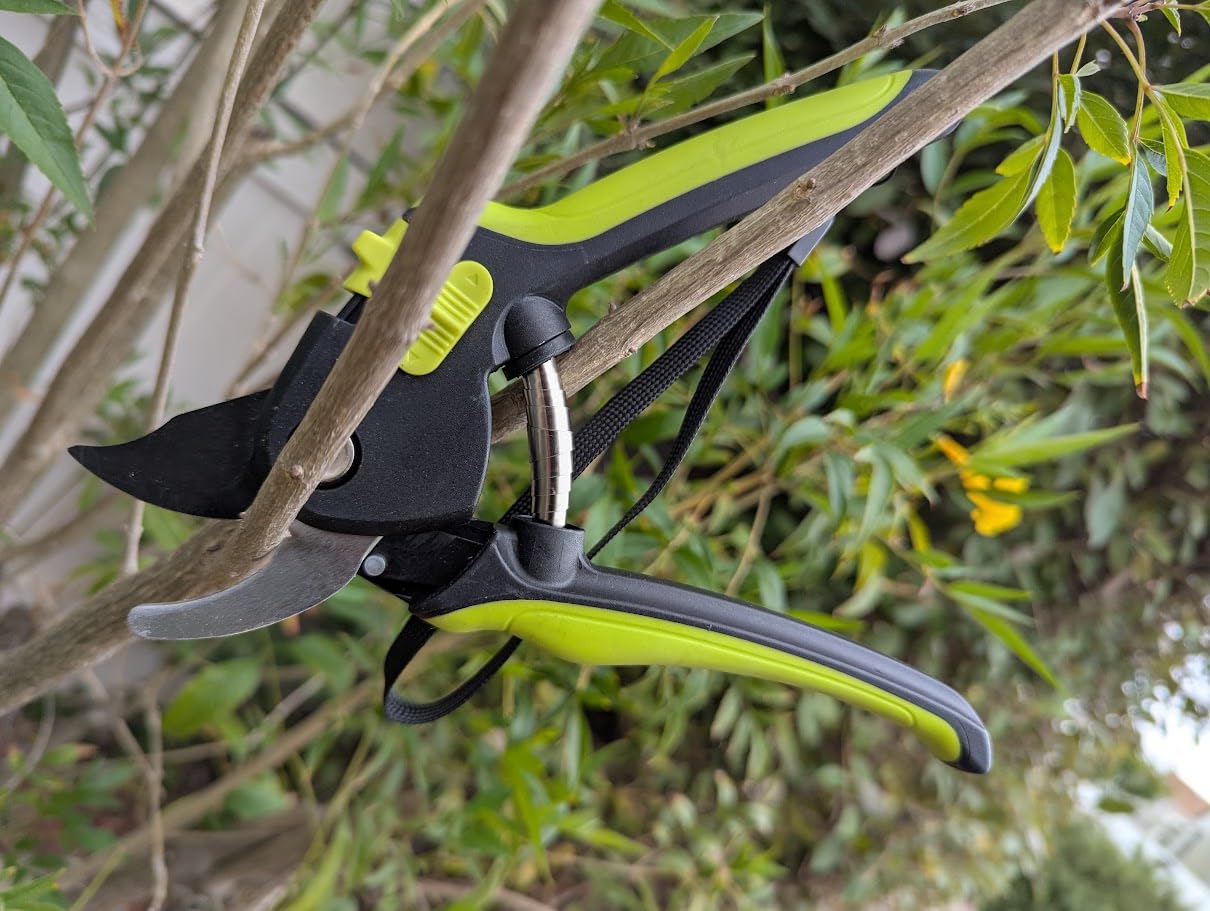 Ultra Sharp Japanese Steel Pruning Shears - Cuts 3X Easier, Weak Hand Arthritis Clippers, Rust-Resistant Titanium Coated Pruner, Effortlessly Cuts 3/4 Inch customer photo 1