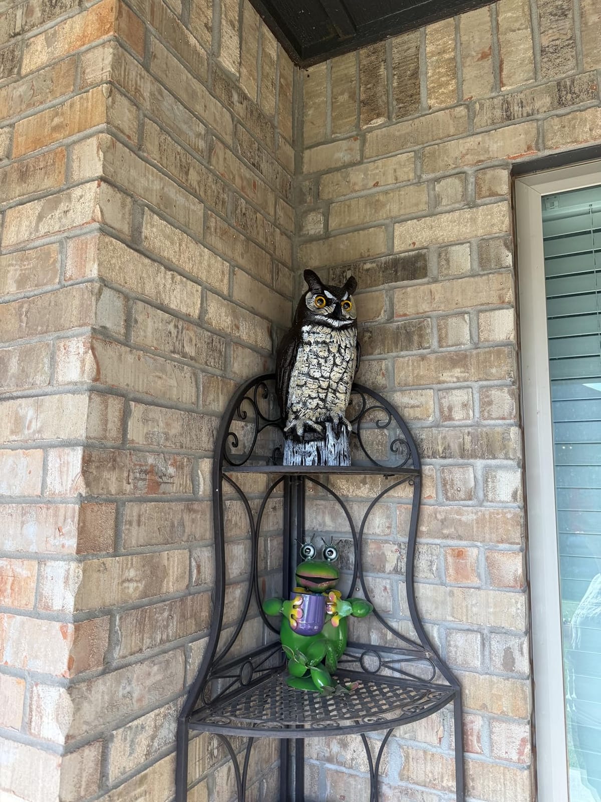 Dalen Lifelike Great Horned Owl Decoy Bird Repellent - 16-in Hand-Painted customer photo 2