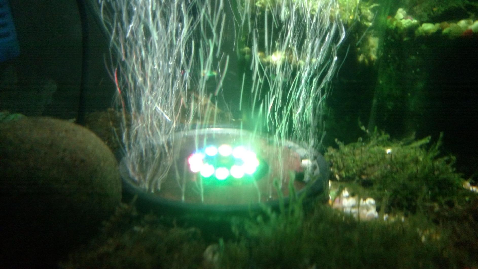 Pawfly Aquarium Air Stone 6 Inch, Fish Tank Bread Air Stone Bubbler Oxygen Diffuser for Large Air Pump Fish Tank Outdoor Garden Pond and DWC System customer photo 1