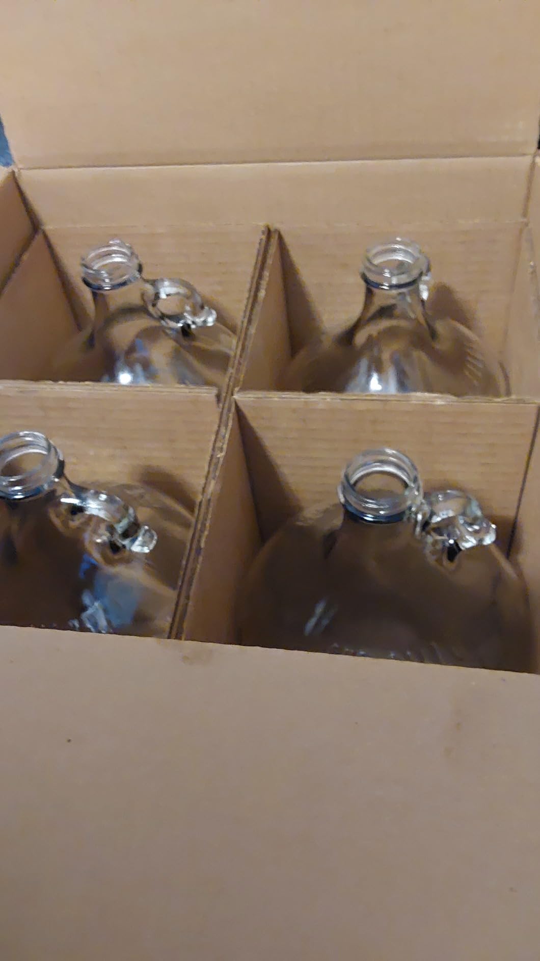 Brewsy Starter Kit for Cider Making - Custom Cider Kit - 4 Bottles in 9 Days - Use Any Juice to make Cider customer photo 1