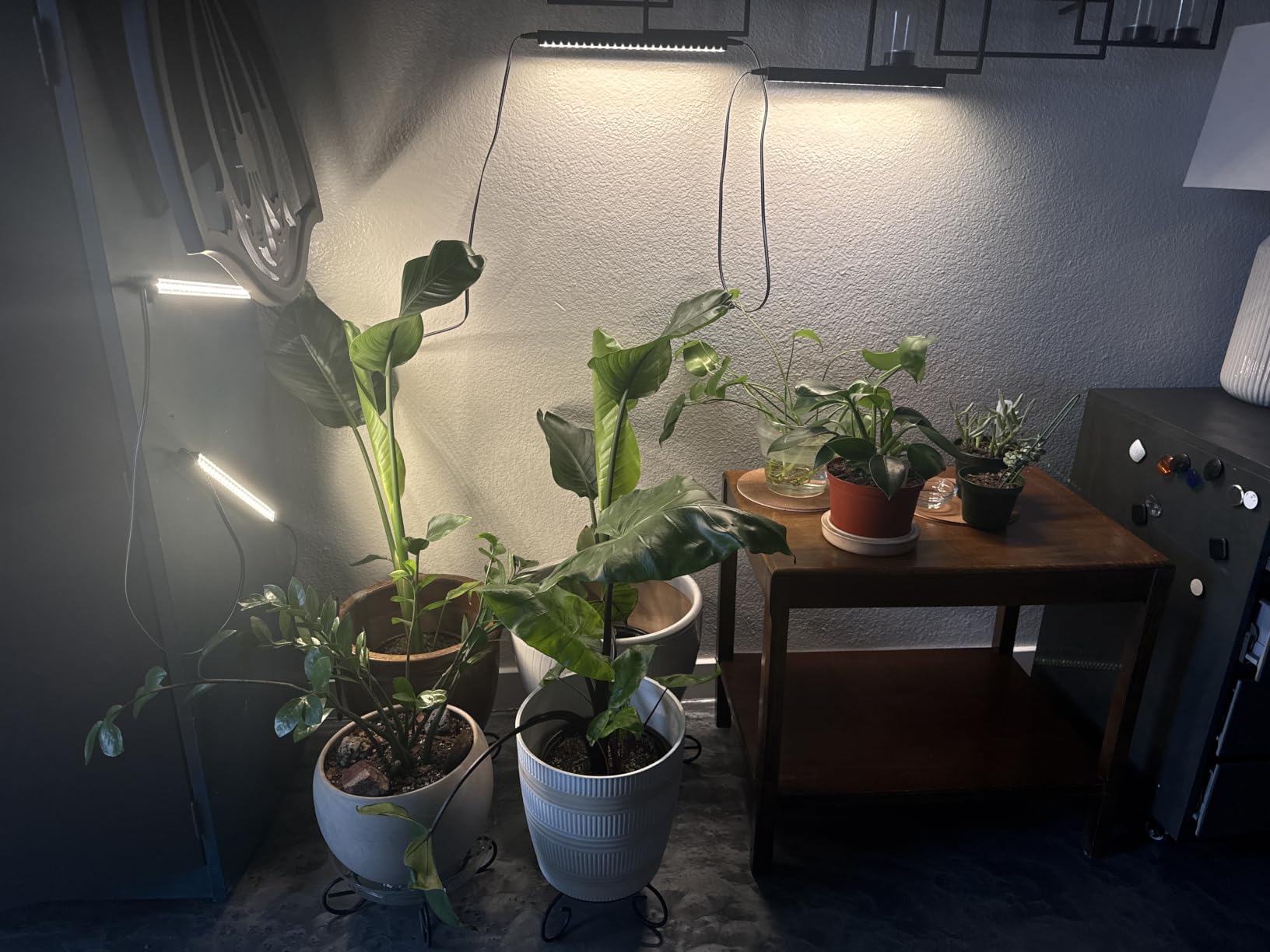 Barrina T5 Grow Lights for Indoor Plants, Full Spectrum, 1ft 5000K, 4 Packs customer photo 2