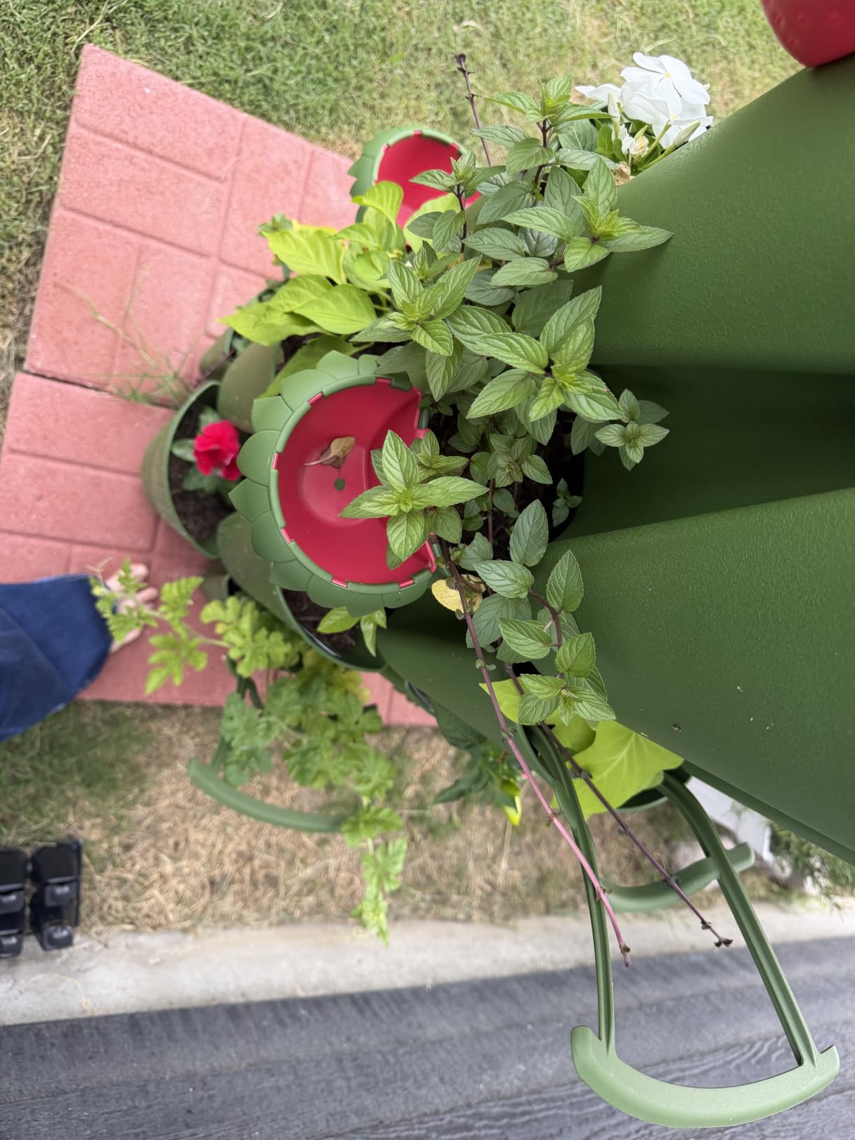 Greenstalk Patented Large 5 Tier Vertical Garden Planter with Patented Internal Watering System Great for Growing a Variety of Strawberries, Vegetables, Herbs, & Flowers (Evergreen) customer photo 1
