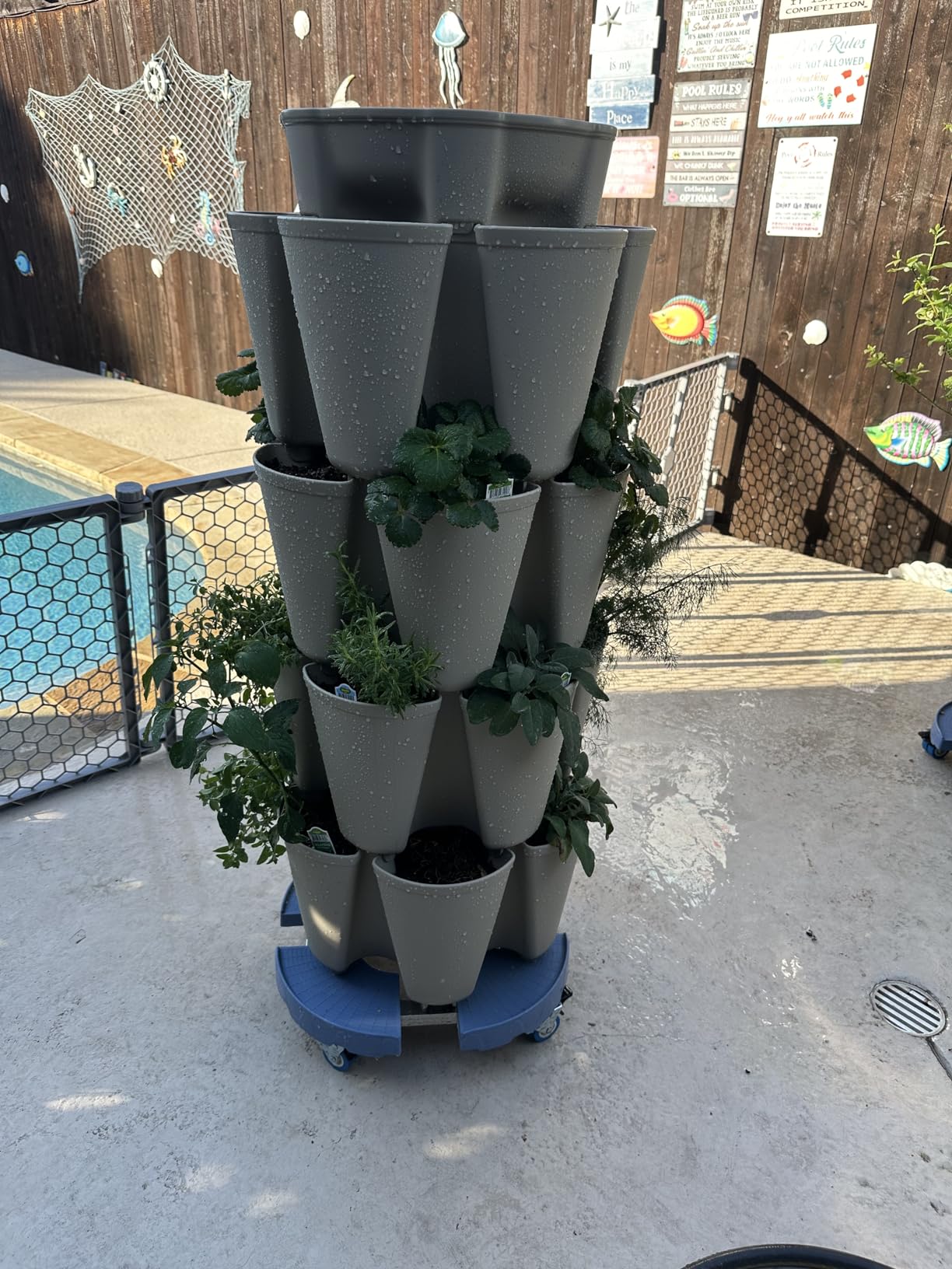 Greenstalk Patented Large 5 Tier Vertical Garden Planter with Patented Internal Watering System Great for Growing a Variety of Strawberries, Vegetables, Herbs, & Flowers (Evergreen) customer photo 2