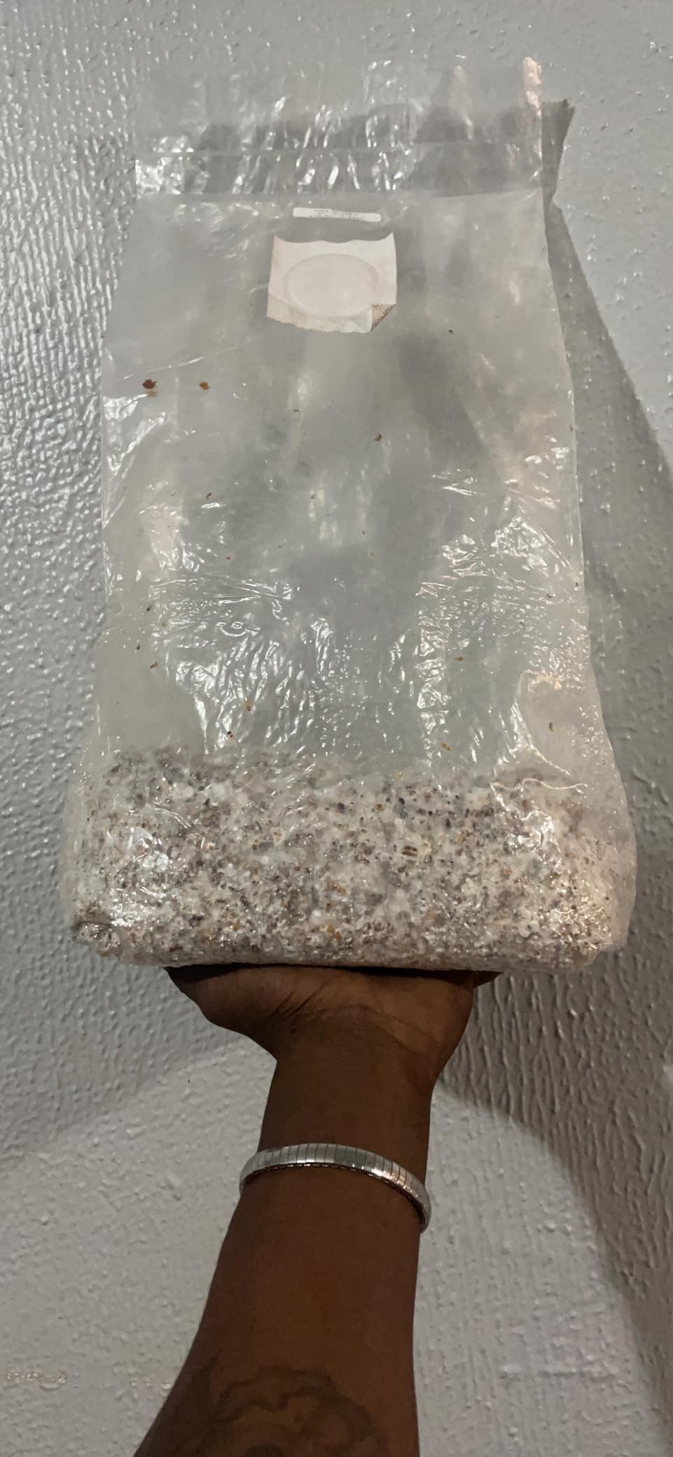 100PCS Mushroom Planting Kit - 8