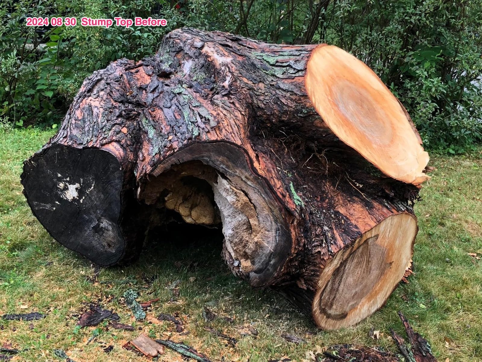 EGO POWER+ Chain Saw, 20” Battery Powered Chainsaw, Electric Cordless, Battery and Charger Not Included – CS2000 customer photo 1