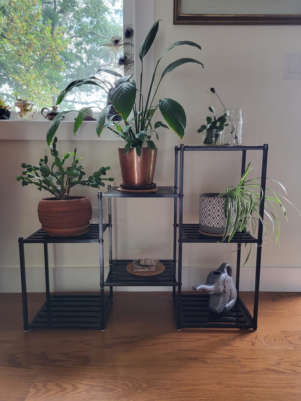 Simple Trending Plant Stand Indoor Outdoor, Heavy Duty Metal Waterproof 7 Tiered Plant Shelf for Multiple Flower Planter Holder Tall Large Rack, Black customer photo 2