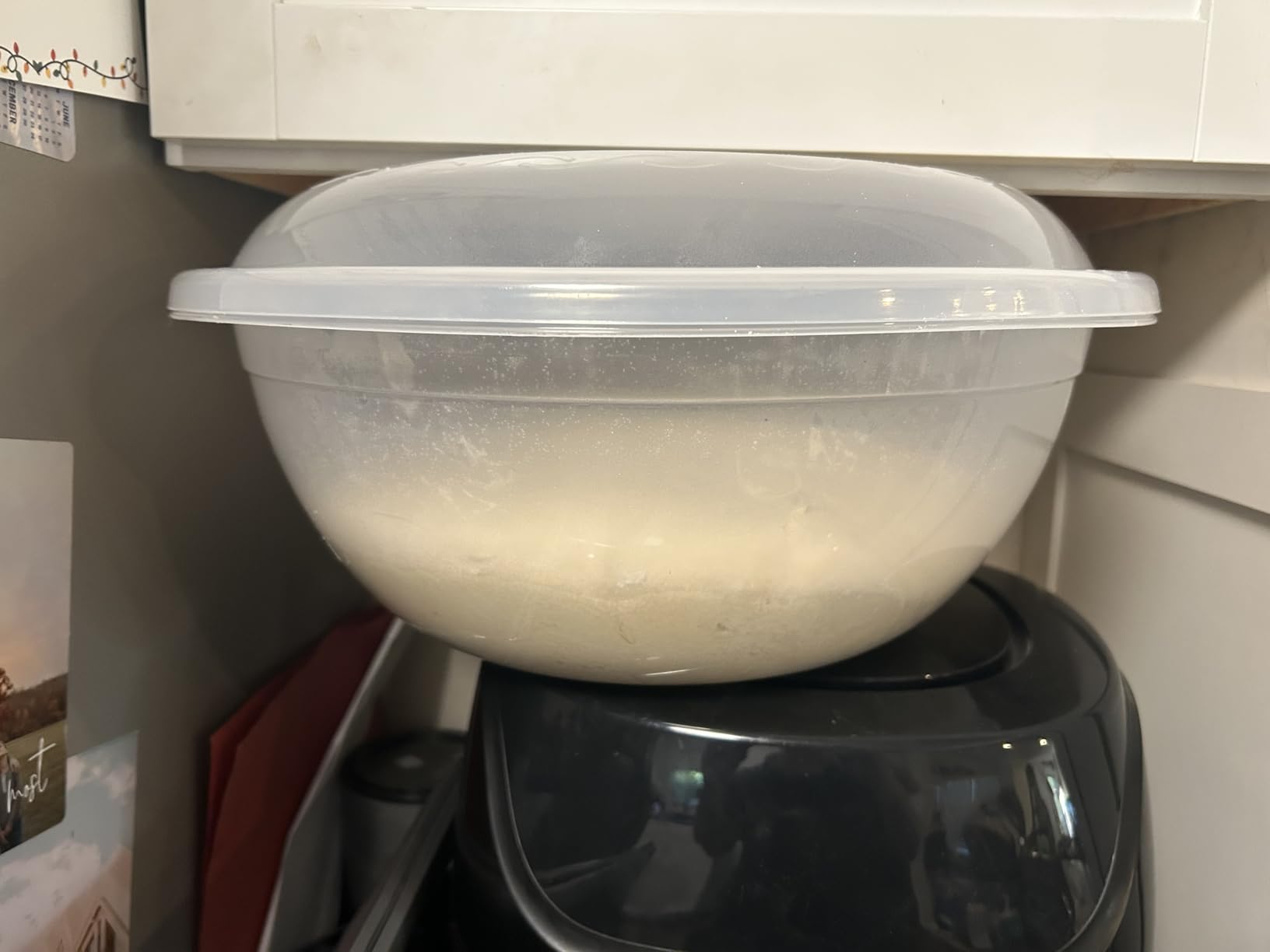 The Challah Bowl with Lid - Dough Riser - Proofer - Plastic Bowl with Cover/Lid - Extra Large 10 Liters - can fit 5Lbs of flour - Non Stick - Perfect Rise Every Time - Great Challah Bakes, Gift Idea customer photo 1
