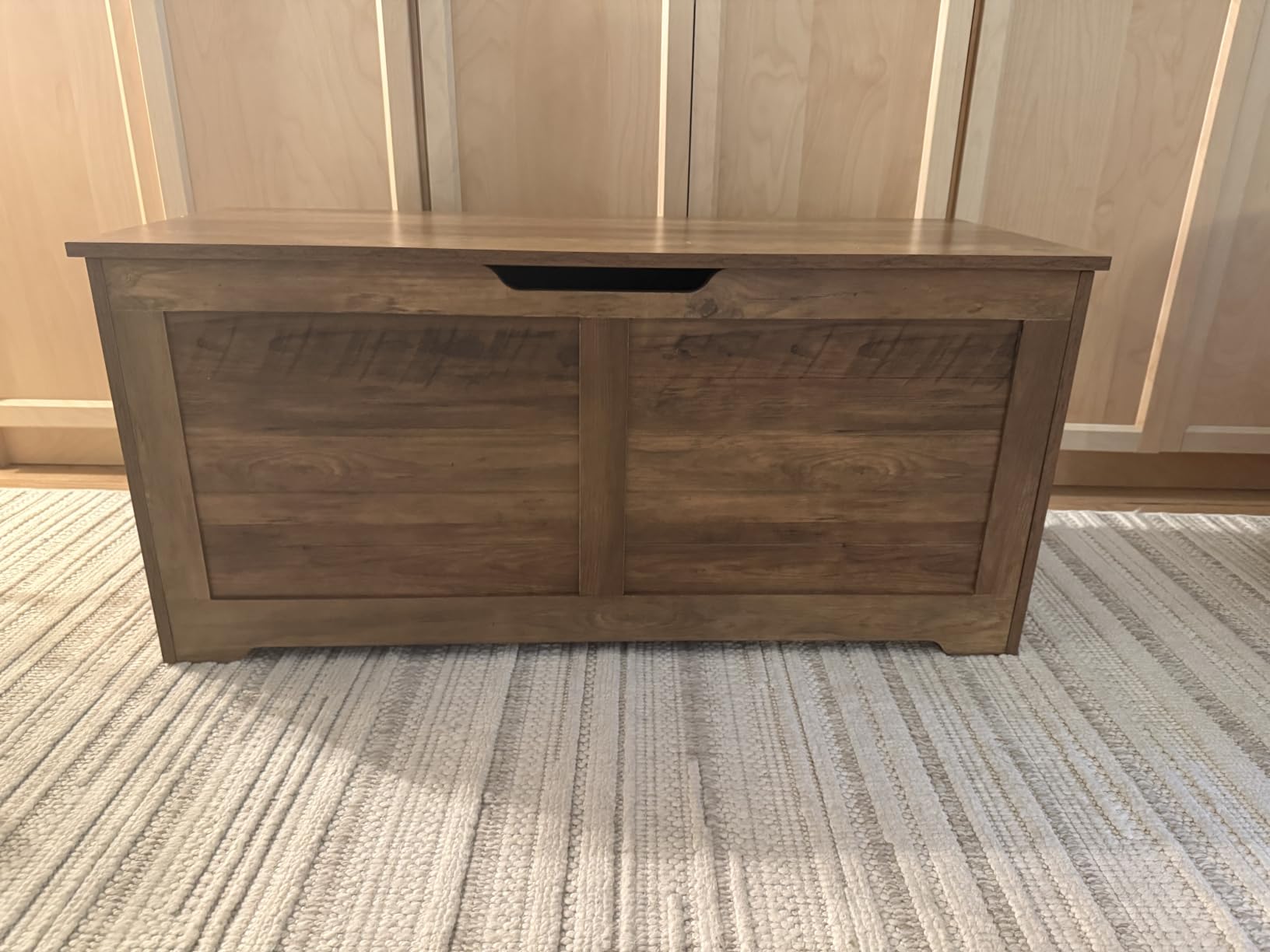 VASAGLE Storage Chest, 39.4 Inches Width Bench with 2 Safety Hinges customer photo 2