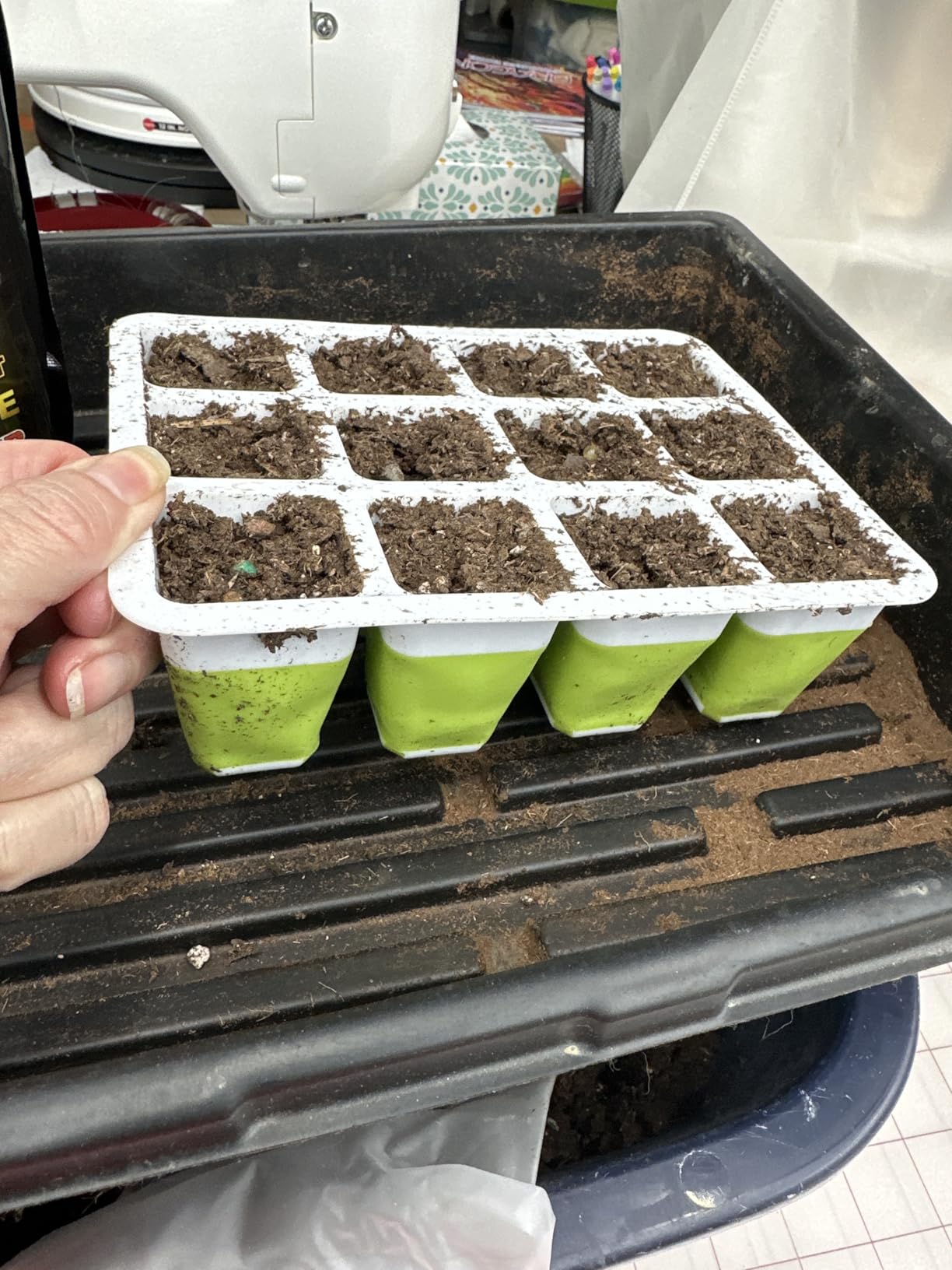 10pcs Reusable Seed Starter Tray, 120 Cells Seed Starter Kit, Silicone Seedling Starter Trays for Starting Plant Seeds with Flexible pop-Out Cells, Indoor Gardening Plant Germination Trays customer photo 1