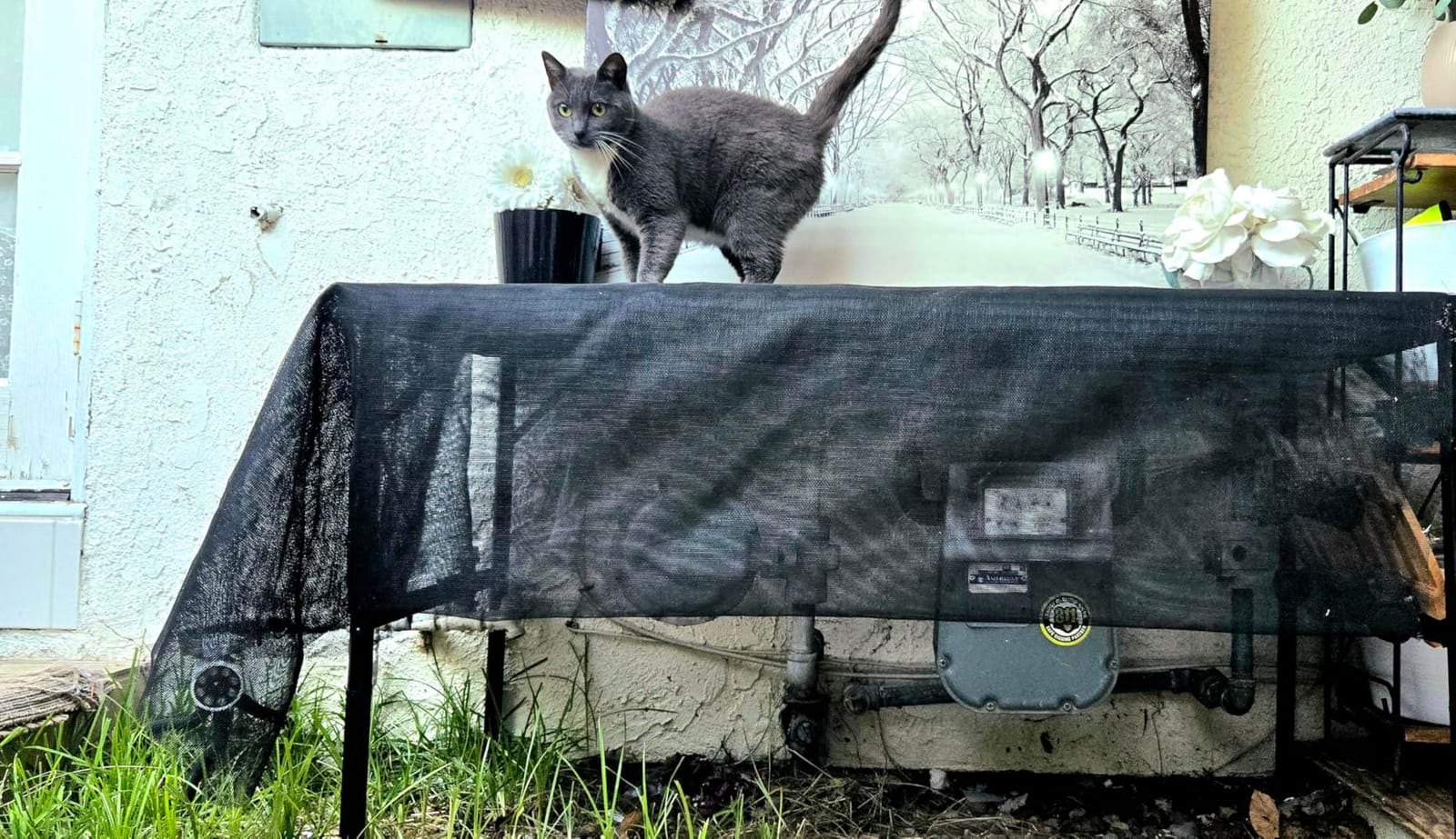 GREGIN Folding Camping Grill Table, Outdoor Metal Table. Foldable, Portable customer photo 1