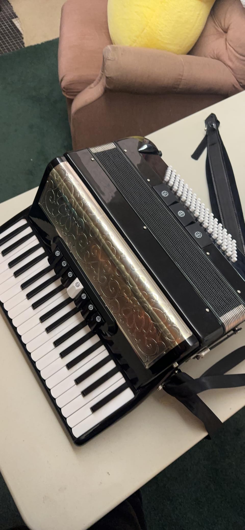 Accordion 37 Key 96 Bass Beginner Advanced Practice Performance (Black) | All-Skill Friendly;Lambskin Bellows;Multi-Register Tone;Portable Kit;Multi-Occasion Use customer photo 1
