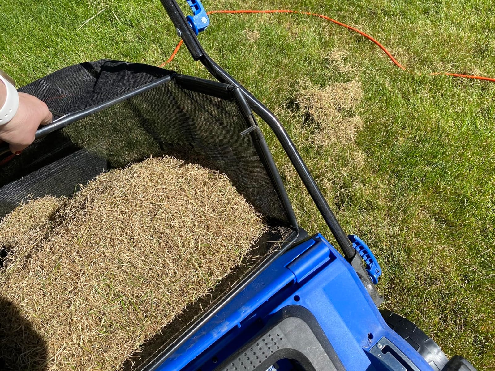 BILT HARD 16 Inch Dethatcher Scarifier Electric Powered, 15 Amp Copper Motor, 5-Position Depth Adjustment, 14.5 gal Thatch Bag, 2 in 1 Walk Behind Thatch Removing Machine for Lawn customer photo 1