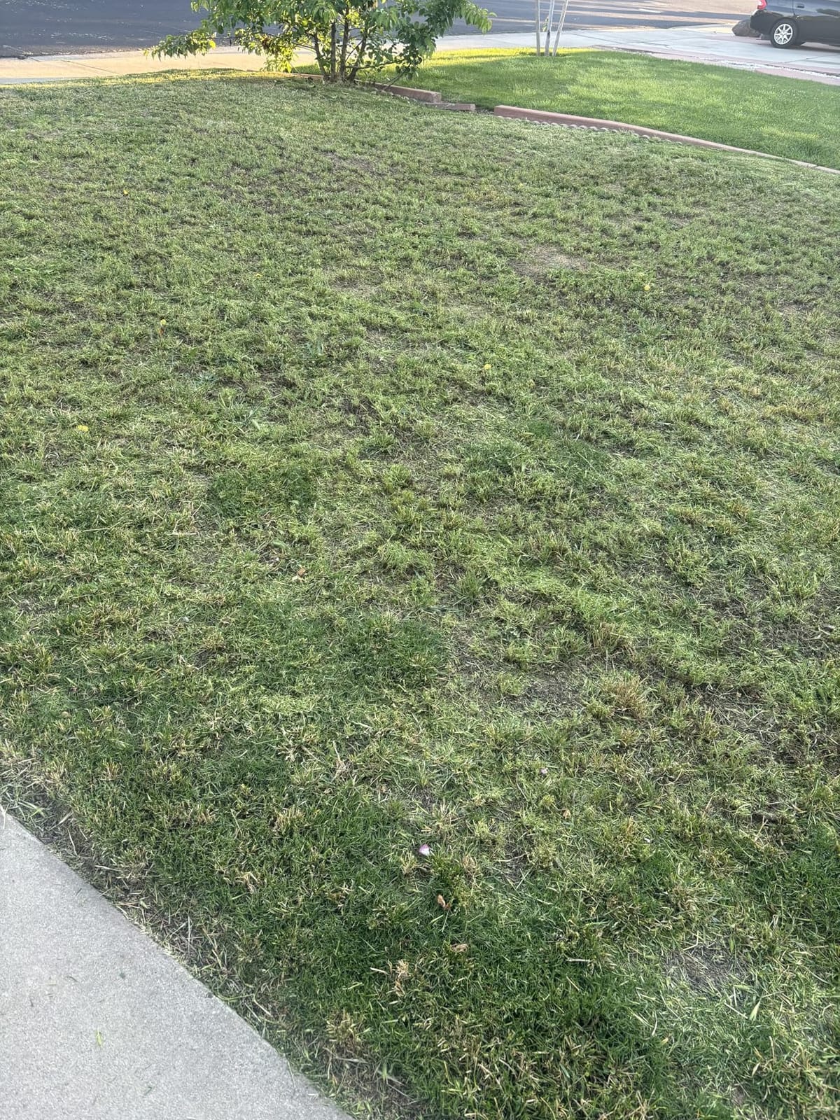 LawnMaster 48V MAX 19-inch Brushless Cordless Lawn Mower, CLMF4819X customer photo 2
